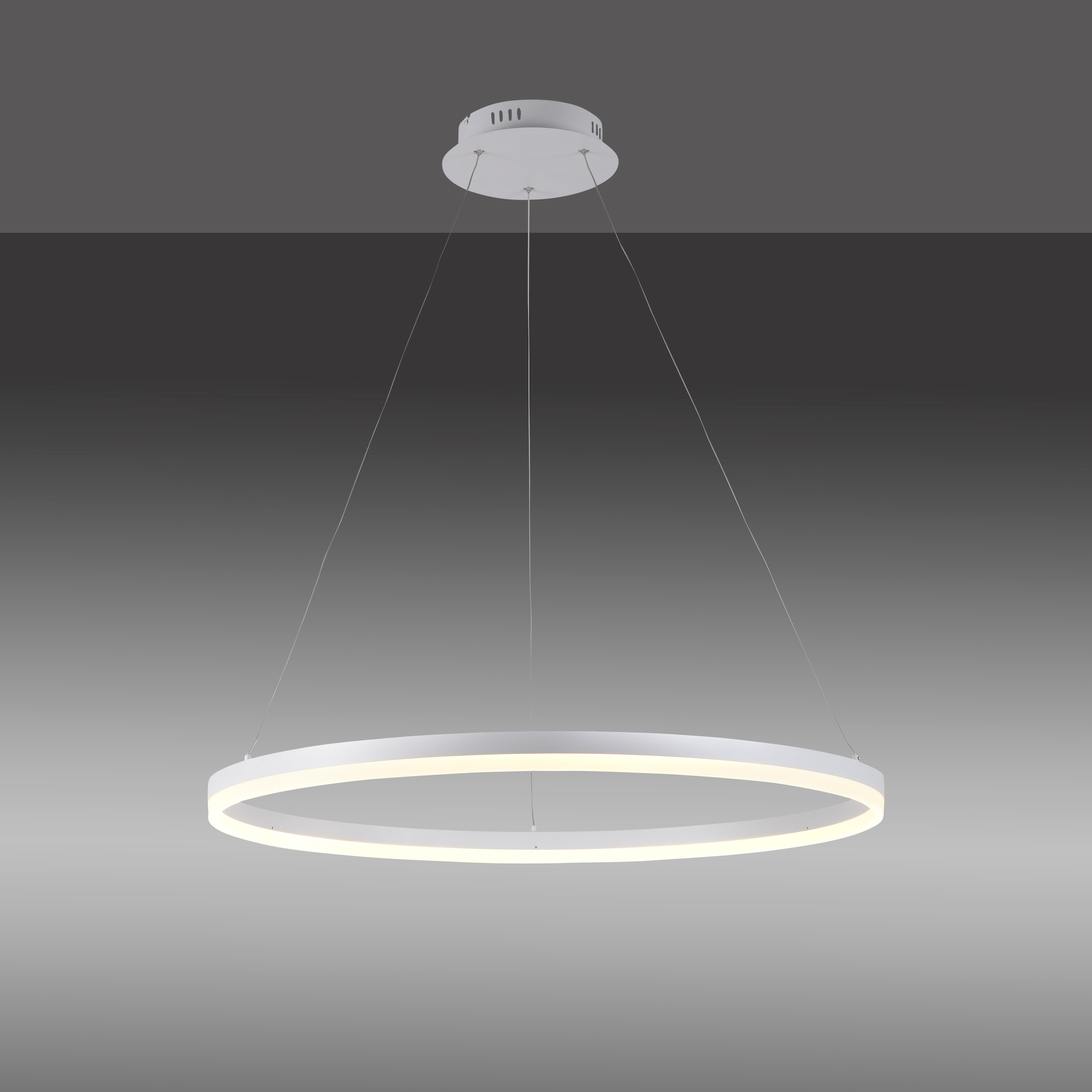 Paul Neuhaus Pendelleuchte »TITUS«, 1 flammig, Leuchtmittel LED-Board | LED fest integriert, LED, dimmbar, Simply Dim, Memory, nach Trennung vom Netz