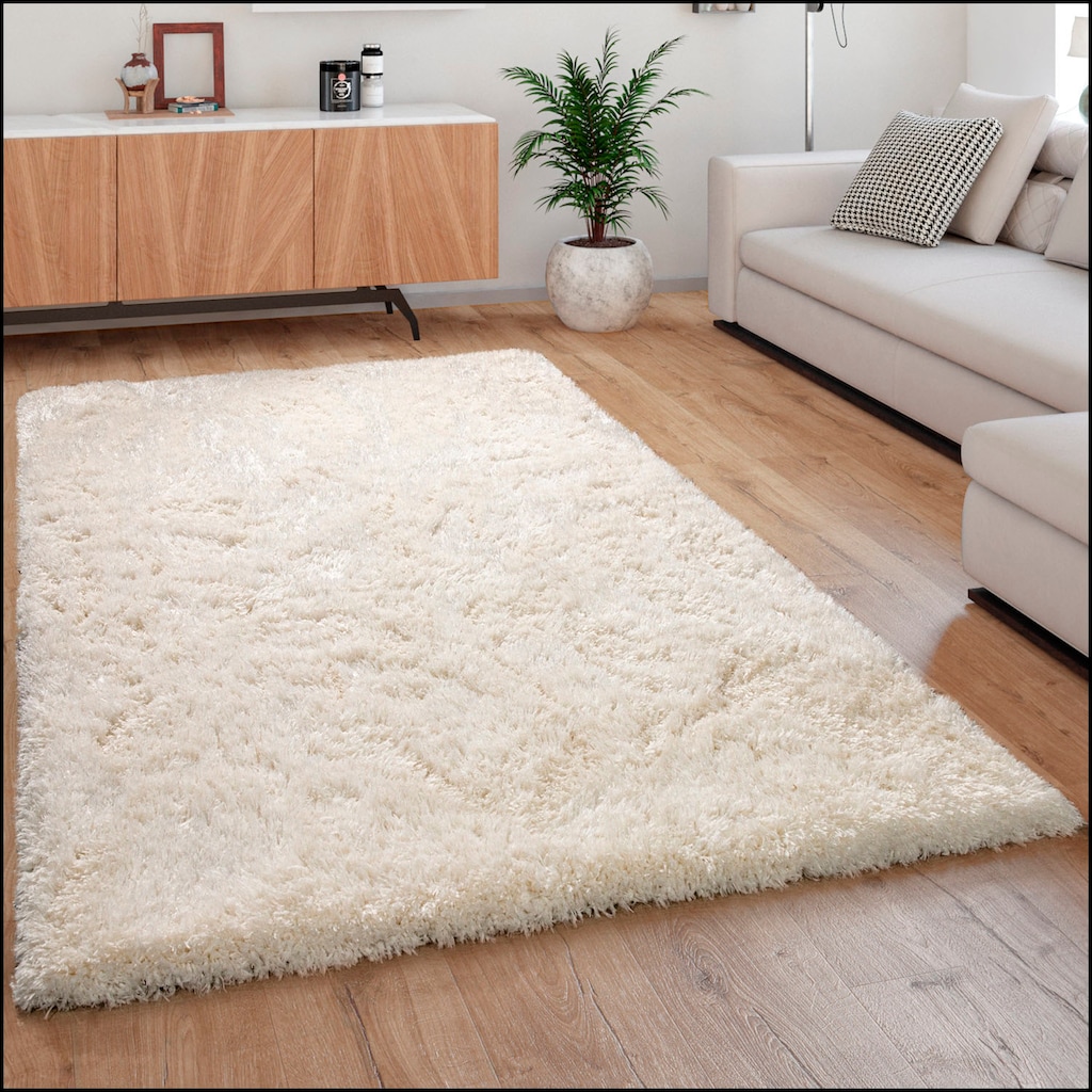 Paco Home Hochflor-Teppich »Milano 861«, rechteckig