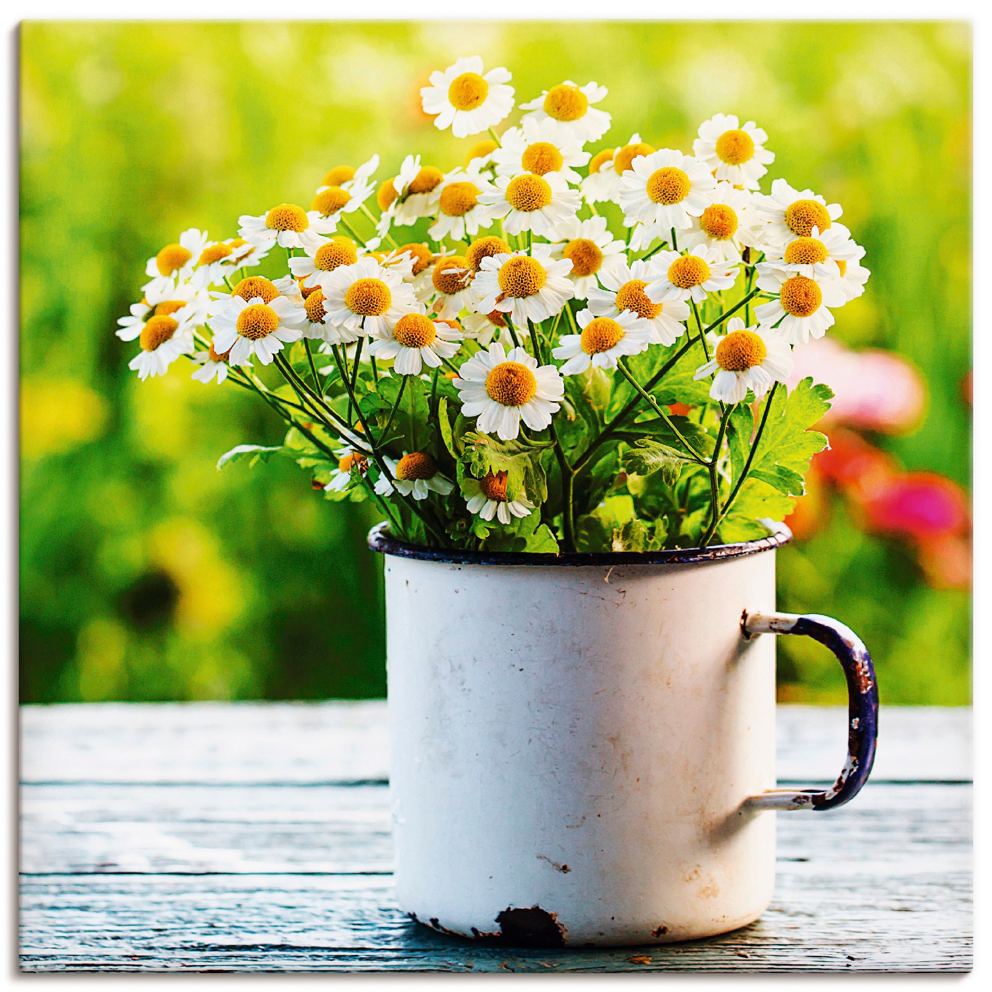 Artland Wandbild »Frühlingsgarten mit Gänseblümchen«, Blumen, (1 St.), als günstig online kaufen