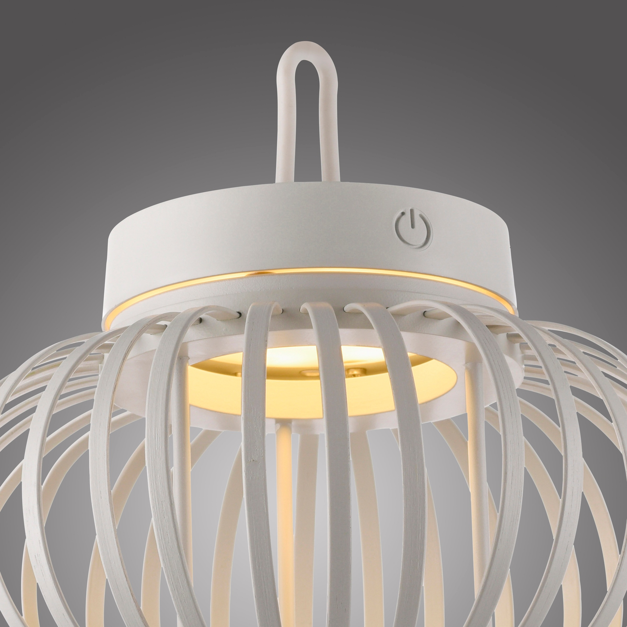 JUST LIGHT Pendelleuchte »AKUBA«, 1 flammig, Leuchtmittel LED-Modul | LED fest integriert, Akkuleuchte