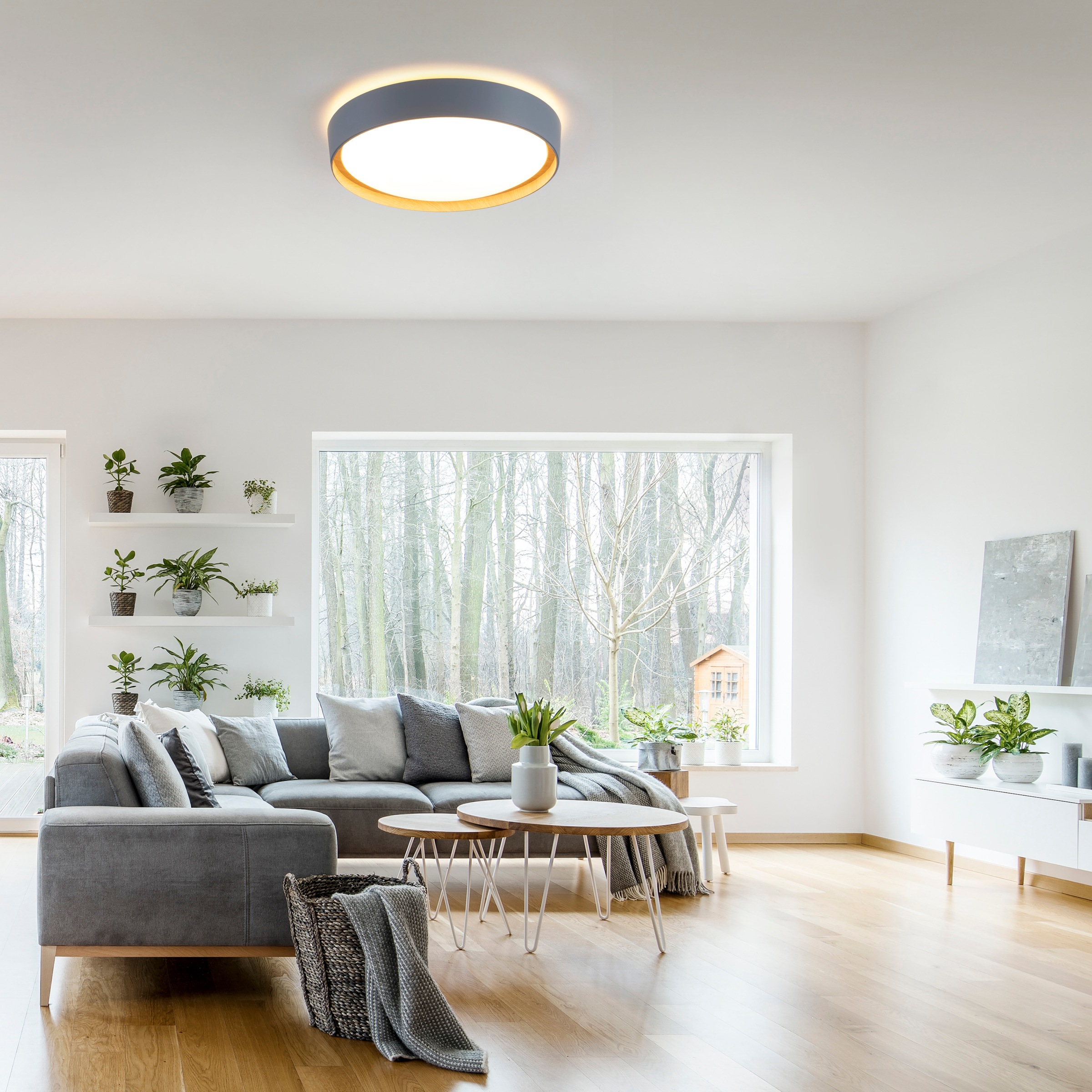 JUST LIGHT Deckenleuchte »EMILIA«, 1 flammig, Leuchtmittel LED-Board   LED günstig online kaufen