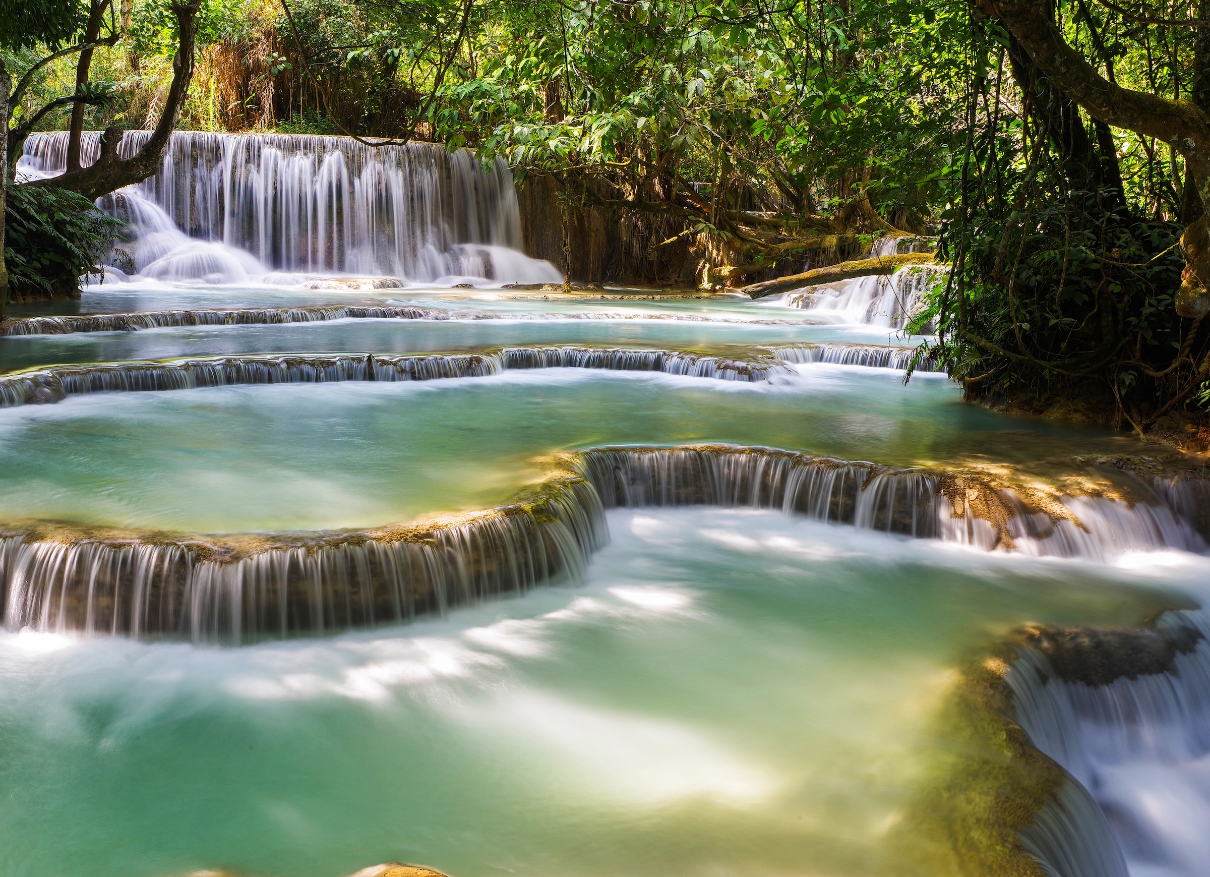 Papermoon Fototapete »Forest Waterfall Laos« günstig online kaufen