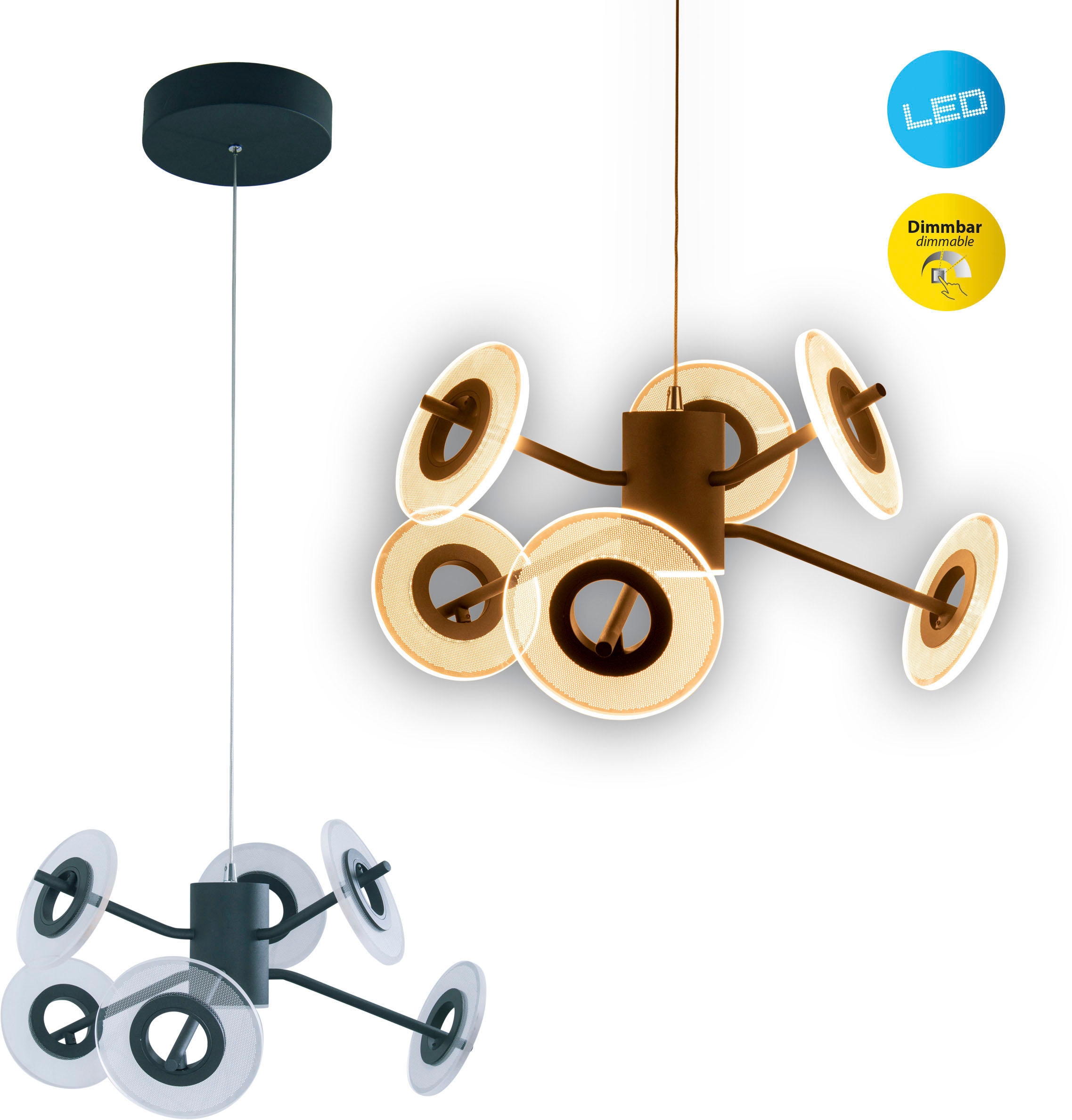 näve LED Pendelleuchte »Discus« 1 Stk. Warmweiß LED 6flg., dimmbar per Wand günstig online kaufen