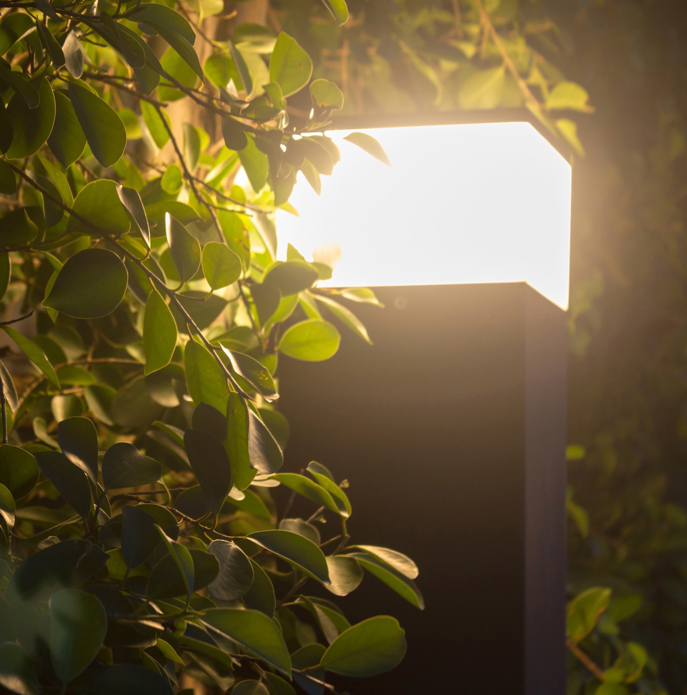 näve LED Sockelleuchte »Vigo«, 50 cm, Außenleuchte, online LED Höhe: bestellen anthrazit, warmweiß 1 flammig-flammig, Terrasse