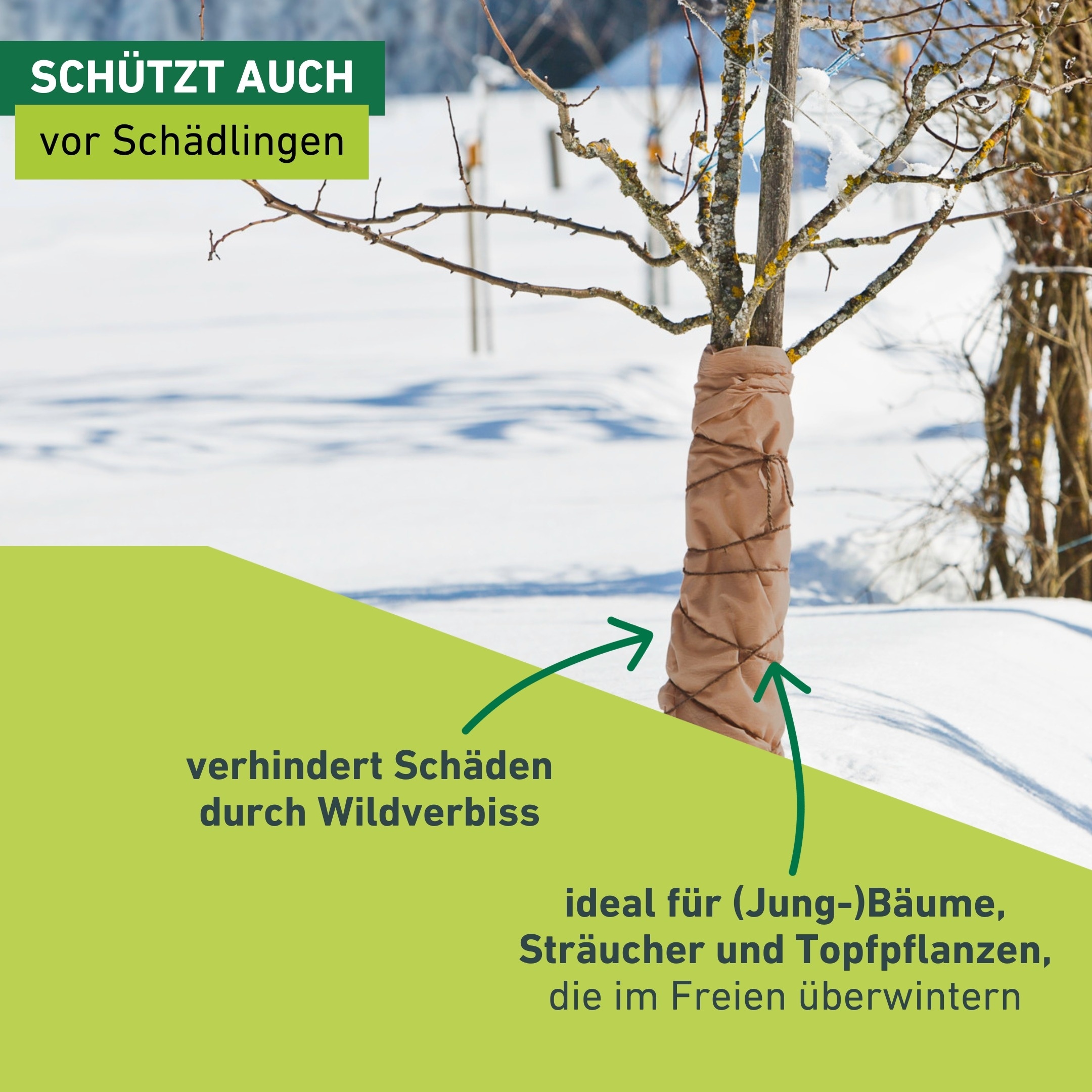 Windhager Winterschutzvlies »für Gartenpflanzen, Frostschutz und Kälteschutz« licht-, wasser- und luftdurchlässig, 5x1,5 m, Stärke 30 g/m2