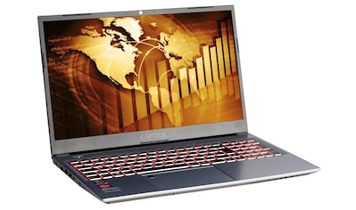 CAPTIVA Business-Notebook »Power Starter R71-722«, 39,6 cm, / 15,6 Zoll, AMD, Ryzen 5,... kaufen