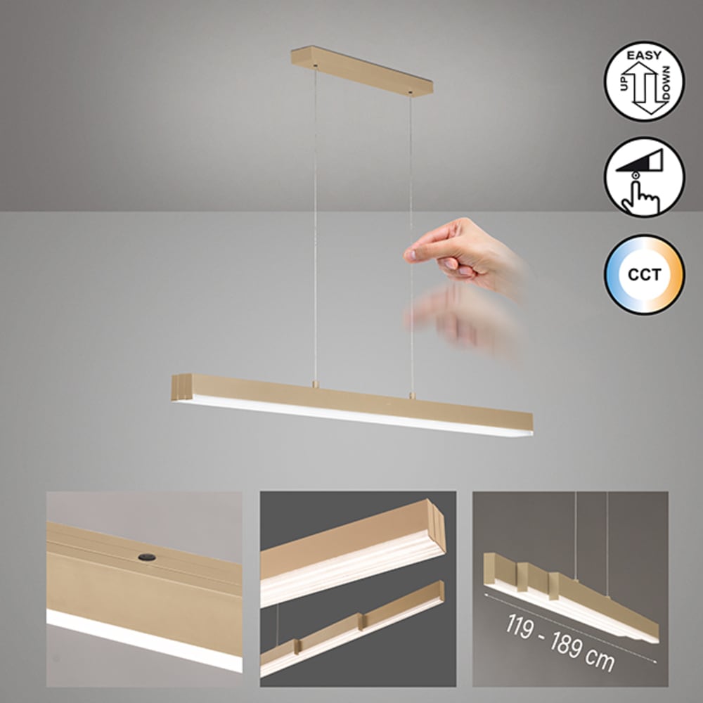 FISCHER & HONSEL Pendelleuchte »Vayana« LED-Board 1 Stk. Farbtemperatur stufenlos einstellbar, höhenverstellbar mit Kabellift