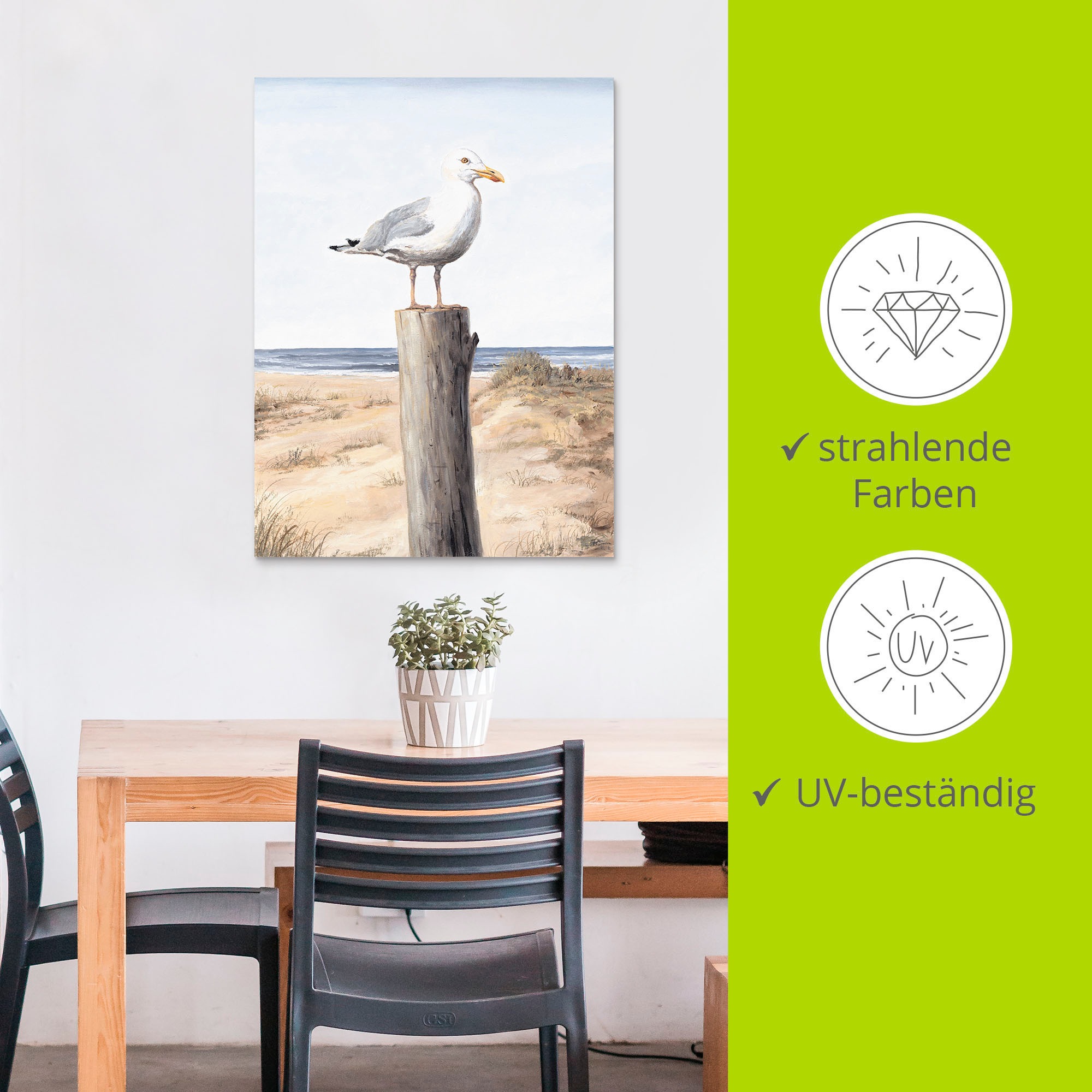 Artland Wandbild »Möwe«, Vögel, (1 St.), als Alubild, Outdoorbild, Leinwandbild, Poster, Wandaufkleber