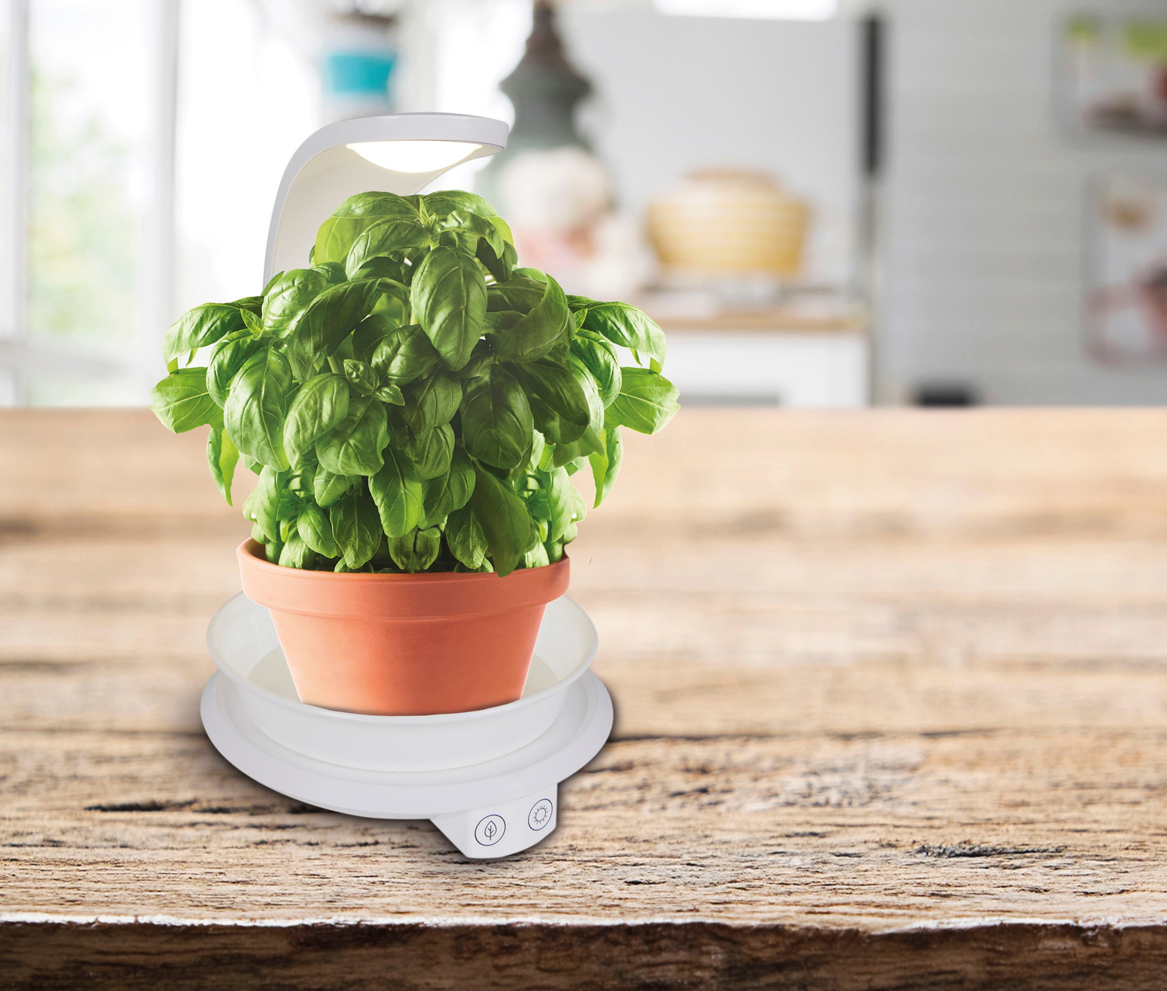 näve LED Tischleuchte »Grow Light«, 1 flammig, Wachstumsleuchte, Pflanzenlicht (lila) und Neutralweiß, USB-Kabel