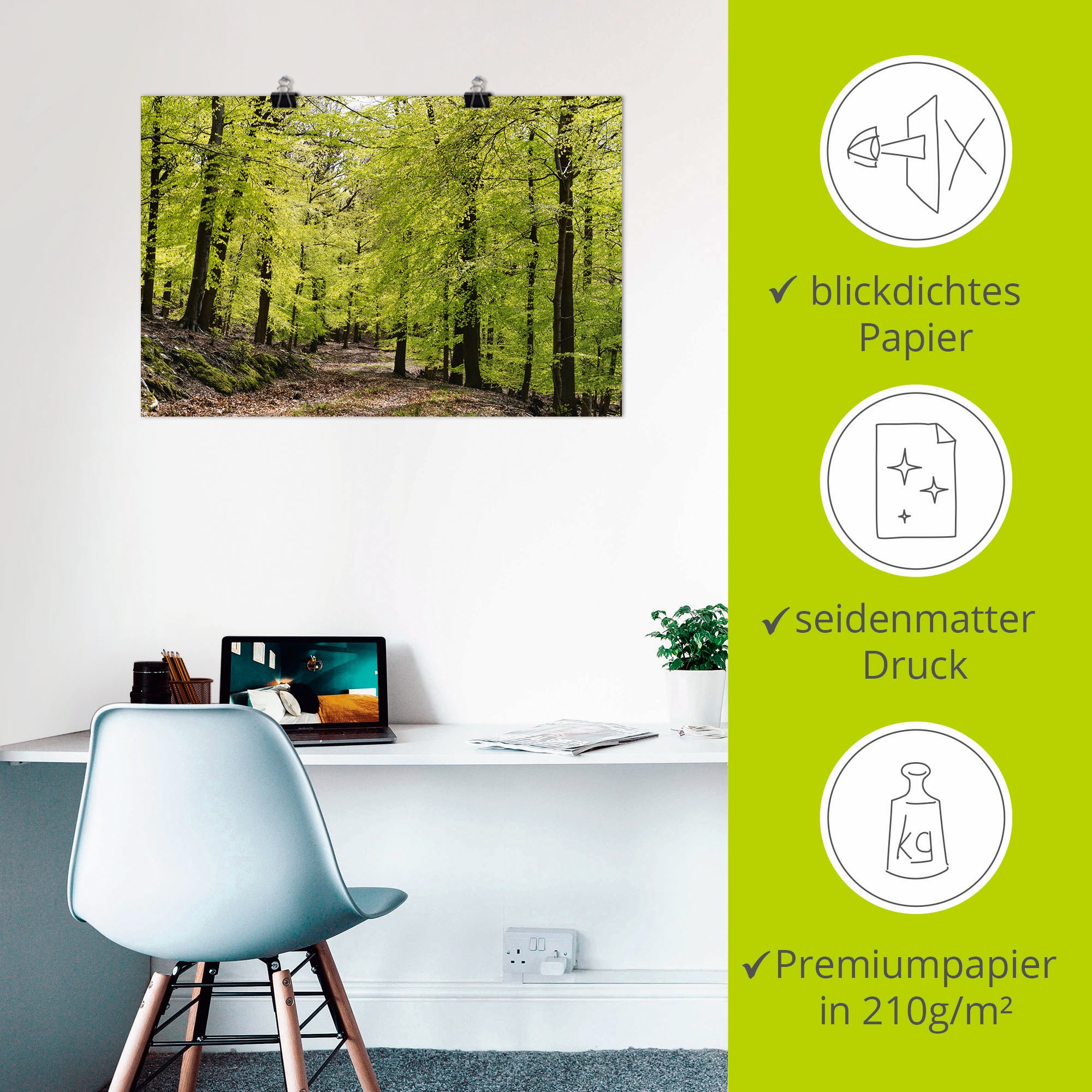 Artland Wandbild »Die Buchen im Frühling«, Wald, (1 St.), als Alubild, Outdoorbild, Leinwandbild, Poster, Wandaufkleber