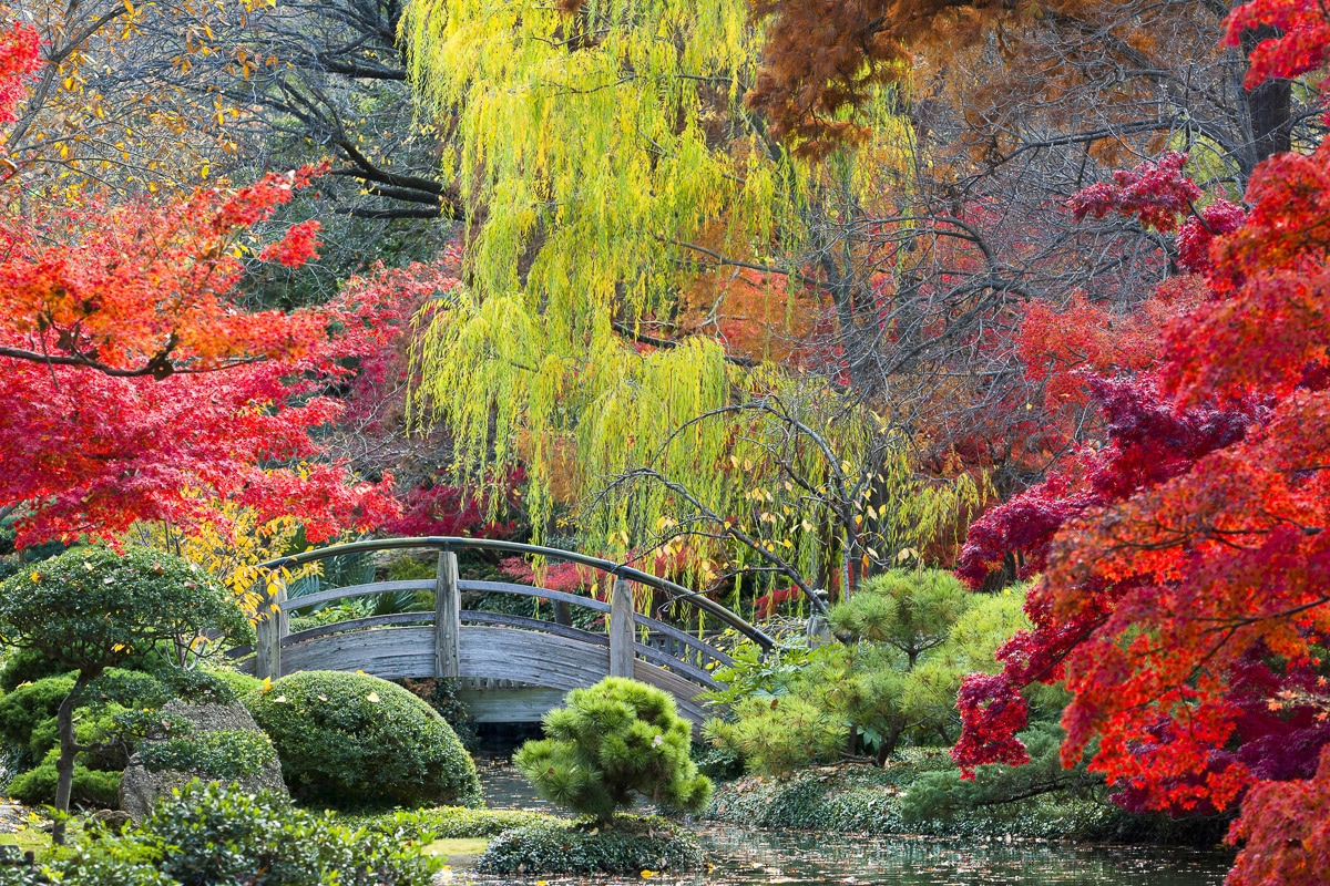 Papermoon Fototapete »GARTEN-NATUR WALD BÄUME HERBSTLANDSCHAFT BLUMEN SEE X günstig online kaufen