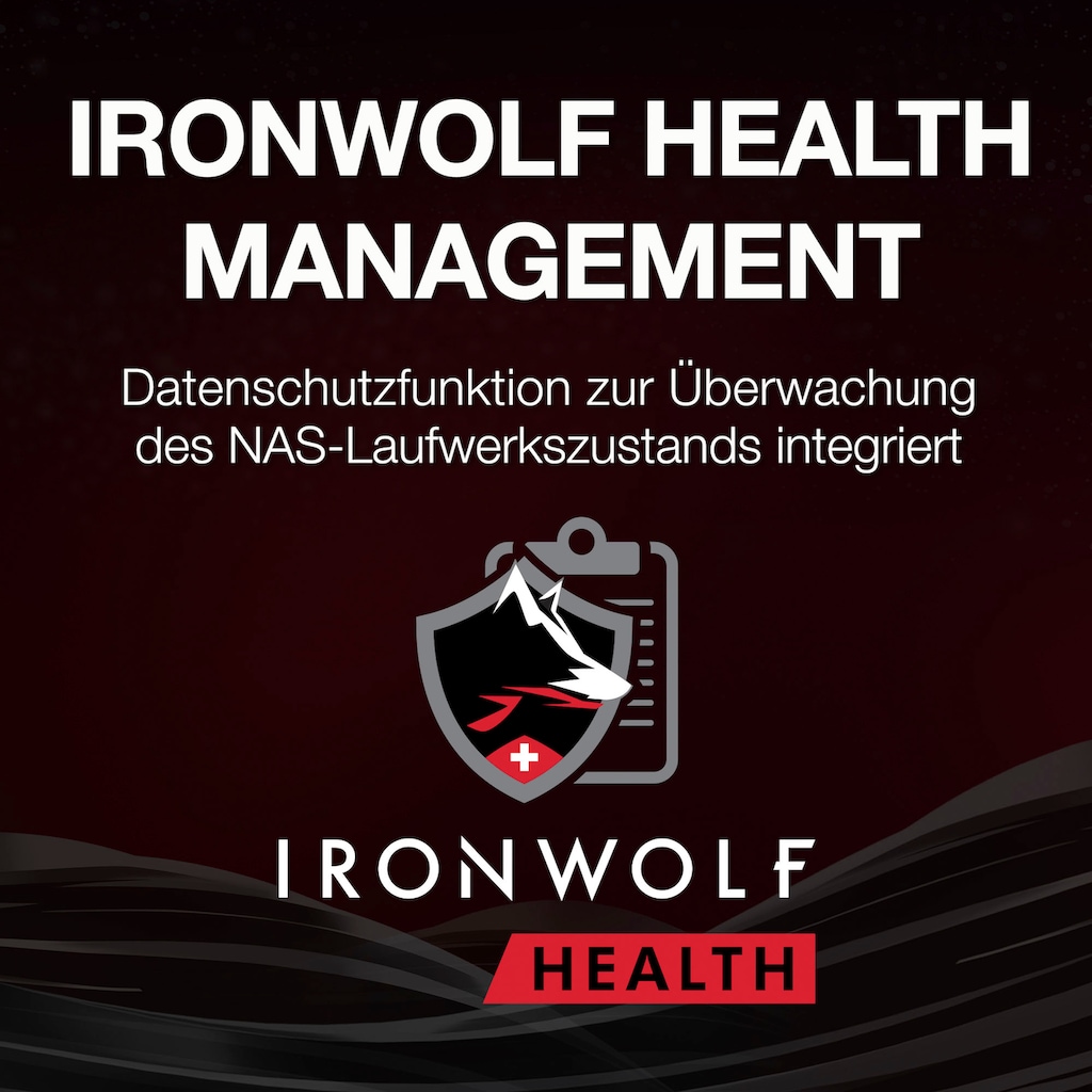 Seagate interne SSD »IronWolf 125«, 2,5 Zoll, Anschluss SATA III