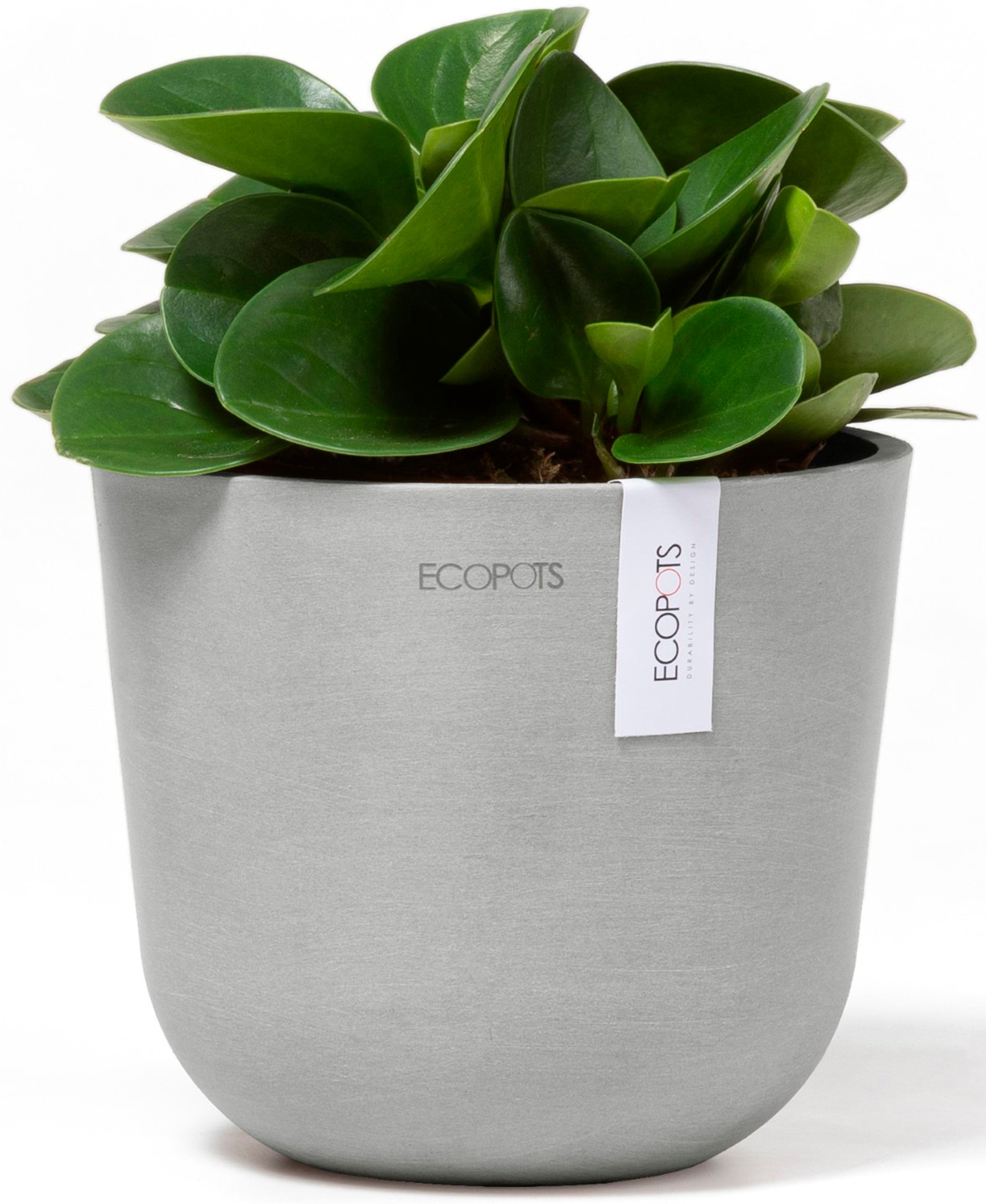 ECOPOTS Blumentopf »Oslo Mini 16 Weißgrau«, für den Innenbereich