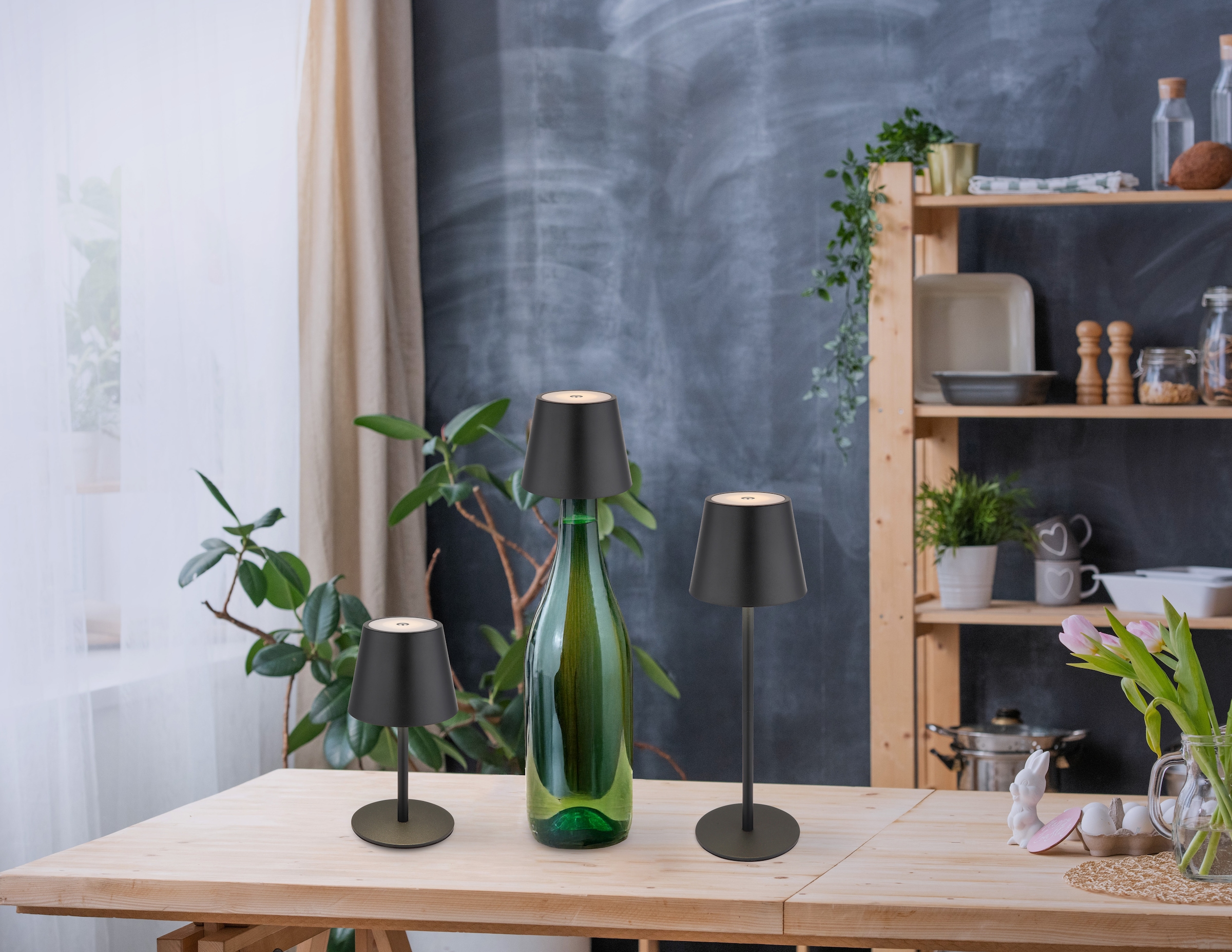 my home LED Tischleuchte »Alia Akkuleuchte inkl. Flaschenaufsatz« LED-Modul 1 Stk. warmweiß - kaltweiß stufenloser Touchdimmer, Farben fixierbar, USB-C, Akkulampe, CCT