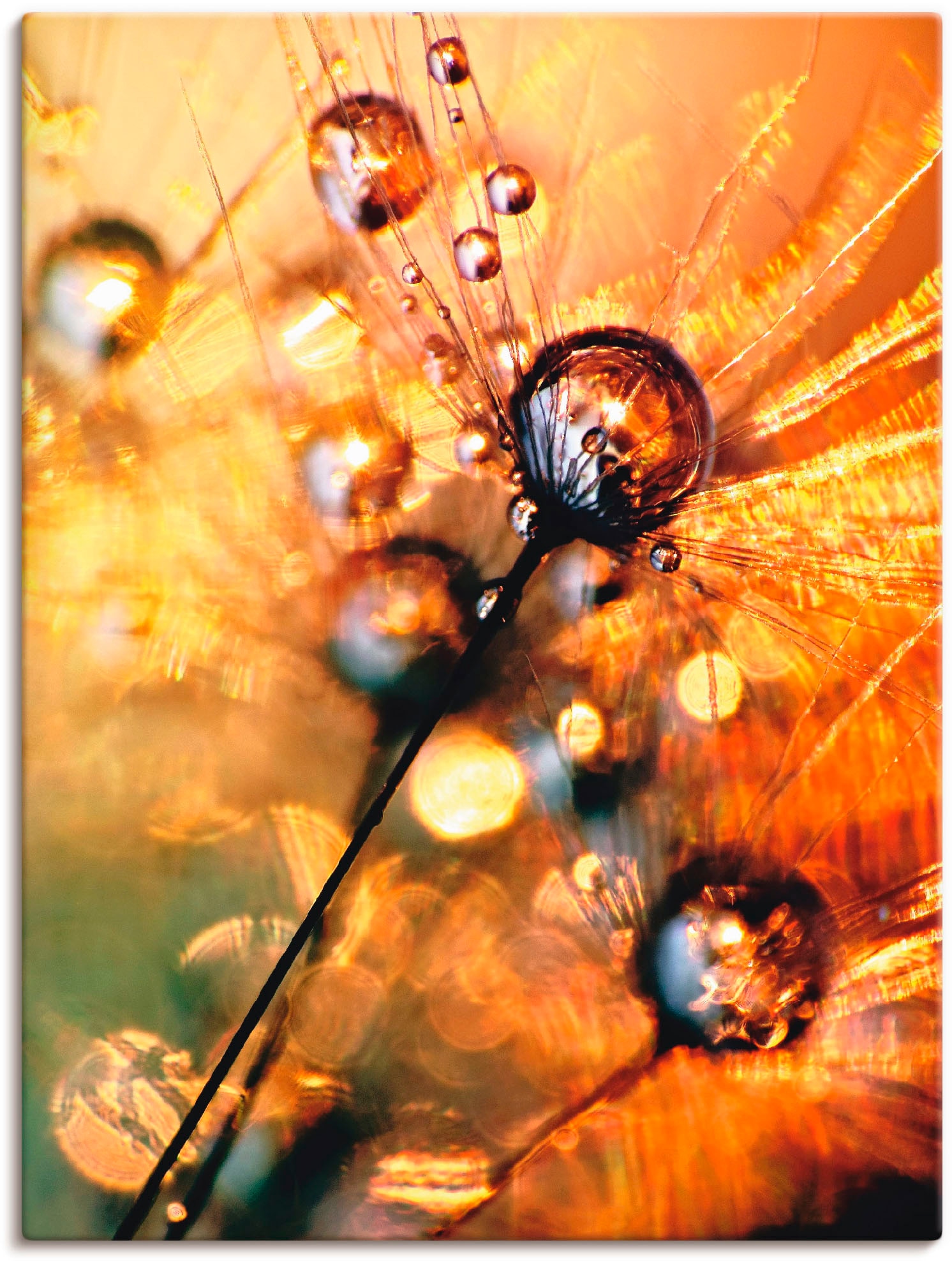Artland Wandbild »Pusteblume Energy« 1 Stk. tlg. als Leinwandbild, Poster i günstig online kaufen