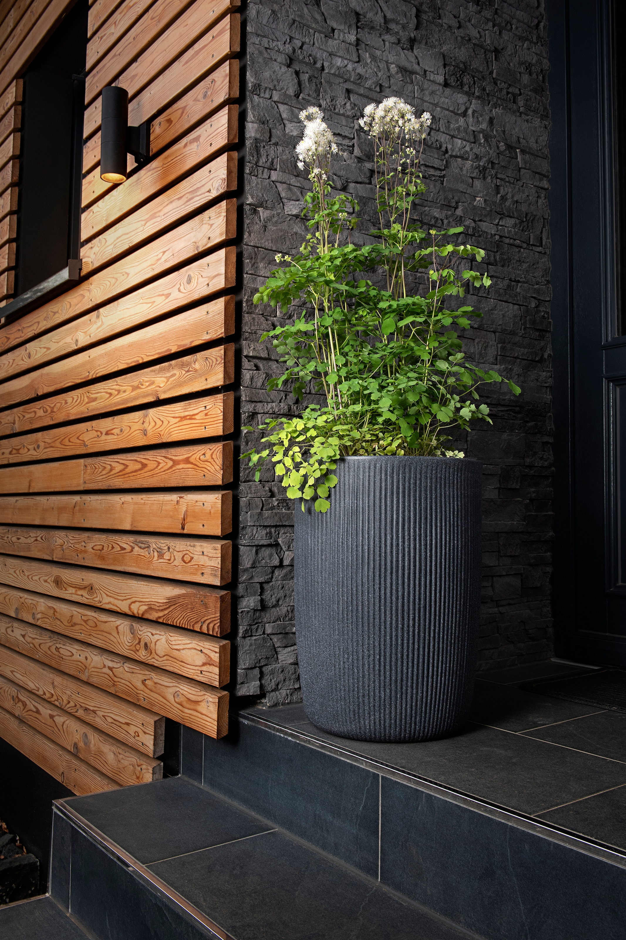 Scheurich Übertopf »40/260 LINETTO HIGH« Hochgefäß/Pflanzgefäß aus Kunststoff, ØxH: 28,5x39,9 cm