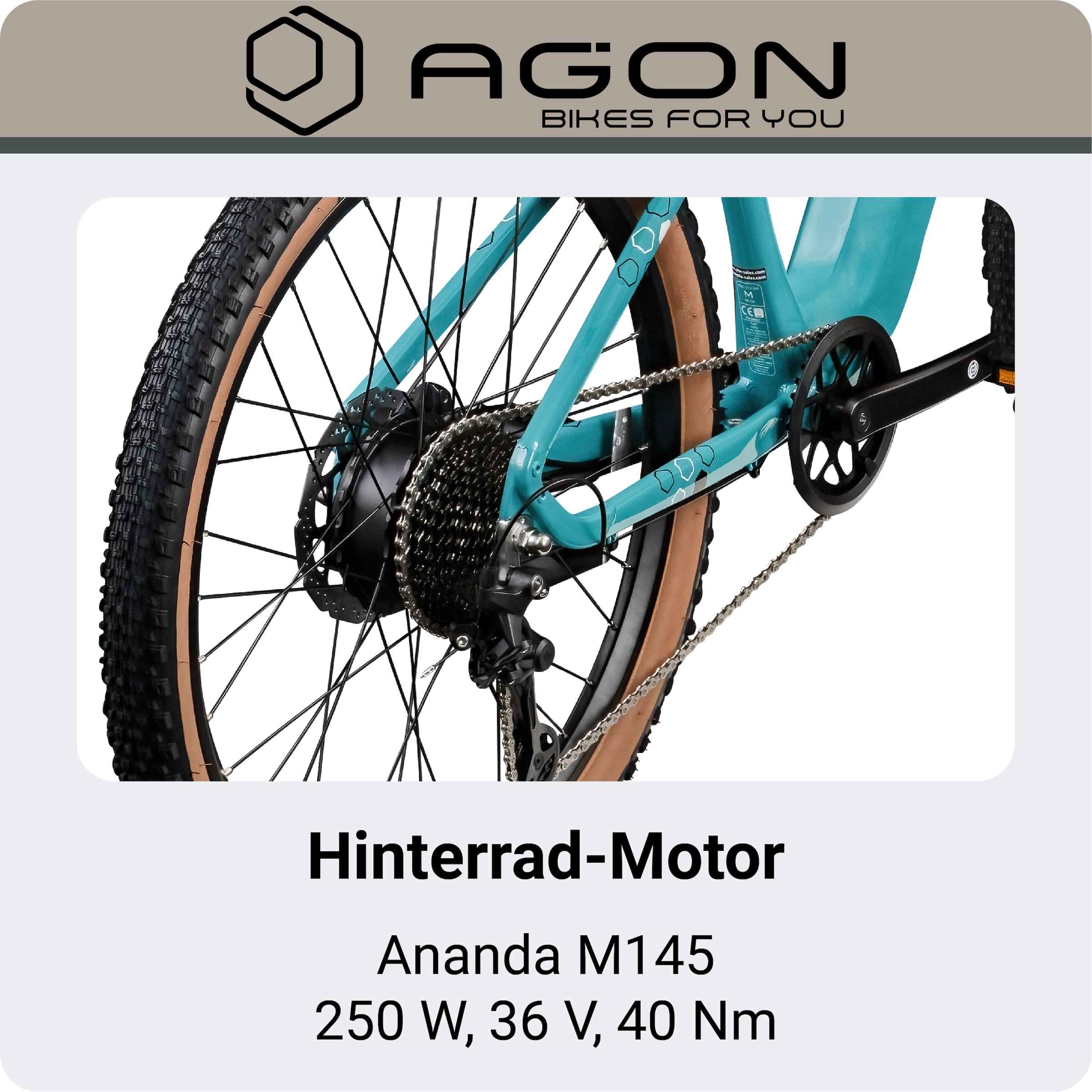 AGON »Alpha« 10 Gang Shimano Deore SGS T6000 Schaltwerk Kettenschaltung Heckmotor 250 W Pedelec, Elektrofahrrad für Damen u. Herren, MTB