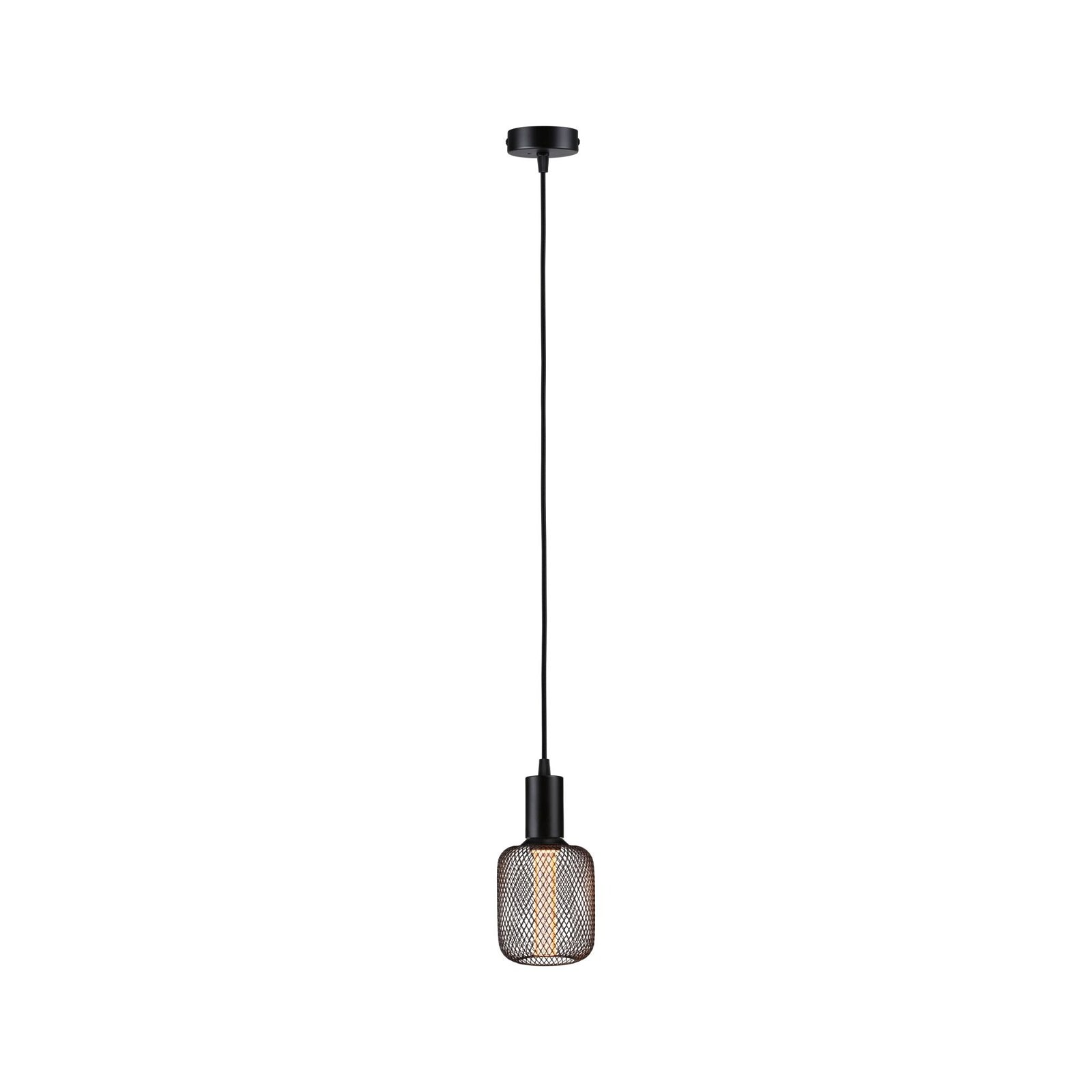 Paulmann Pendelleuchte »Ravi IP44 max 1x60W 230V Metall«, Leuchtmittel E27 | ohne Leuchtmittel, E27