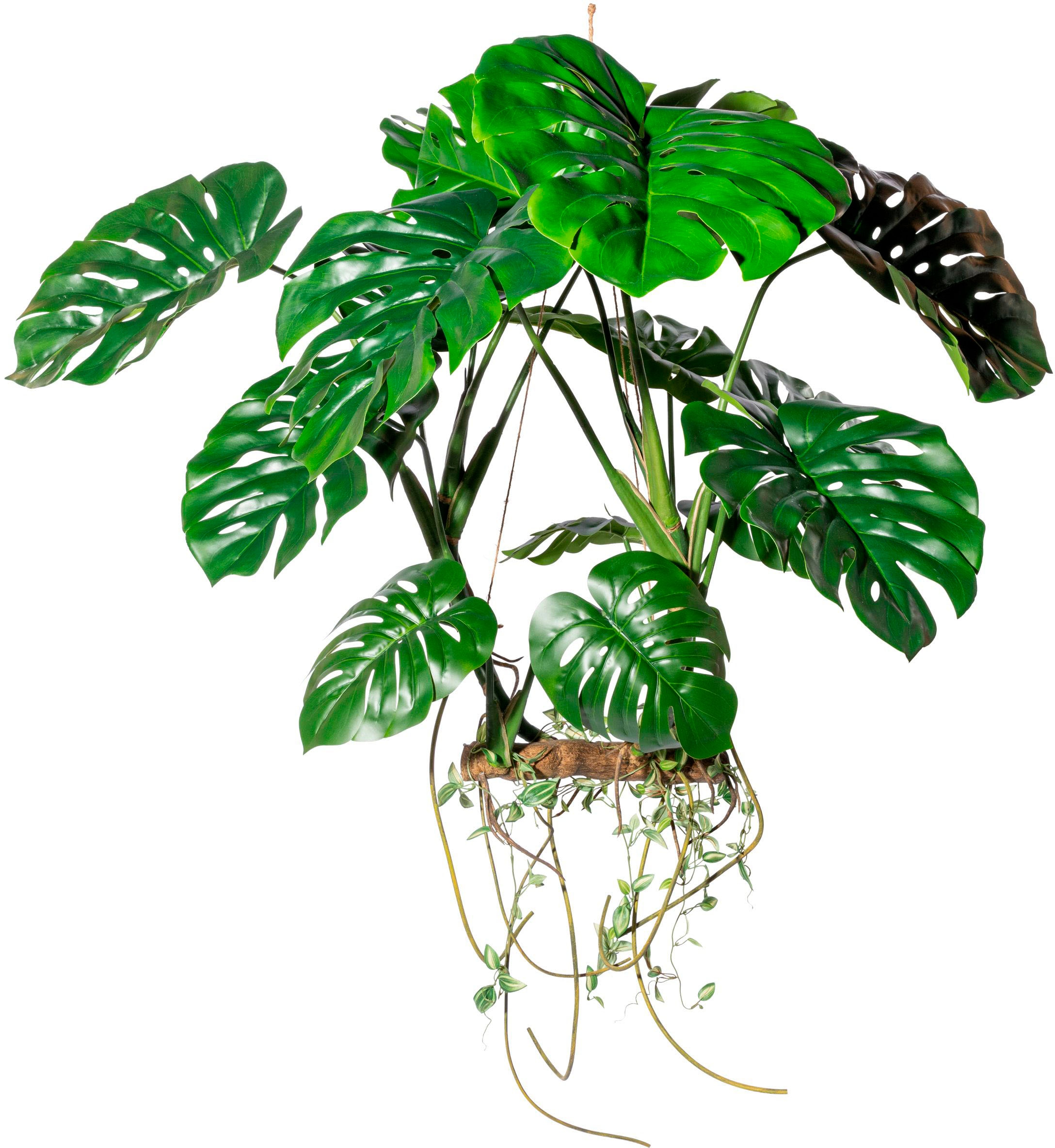 Creativ green Kunstbaum »Hängeobjekt Splitphilodendron« günstig online kaufen