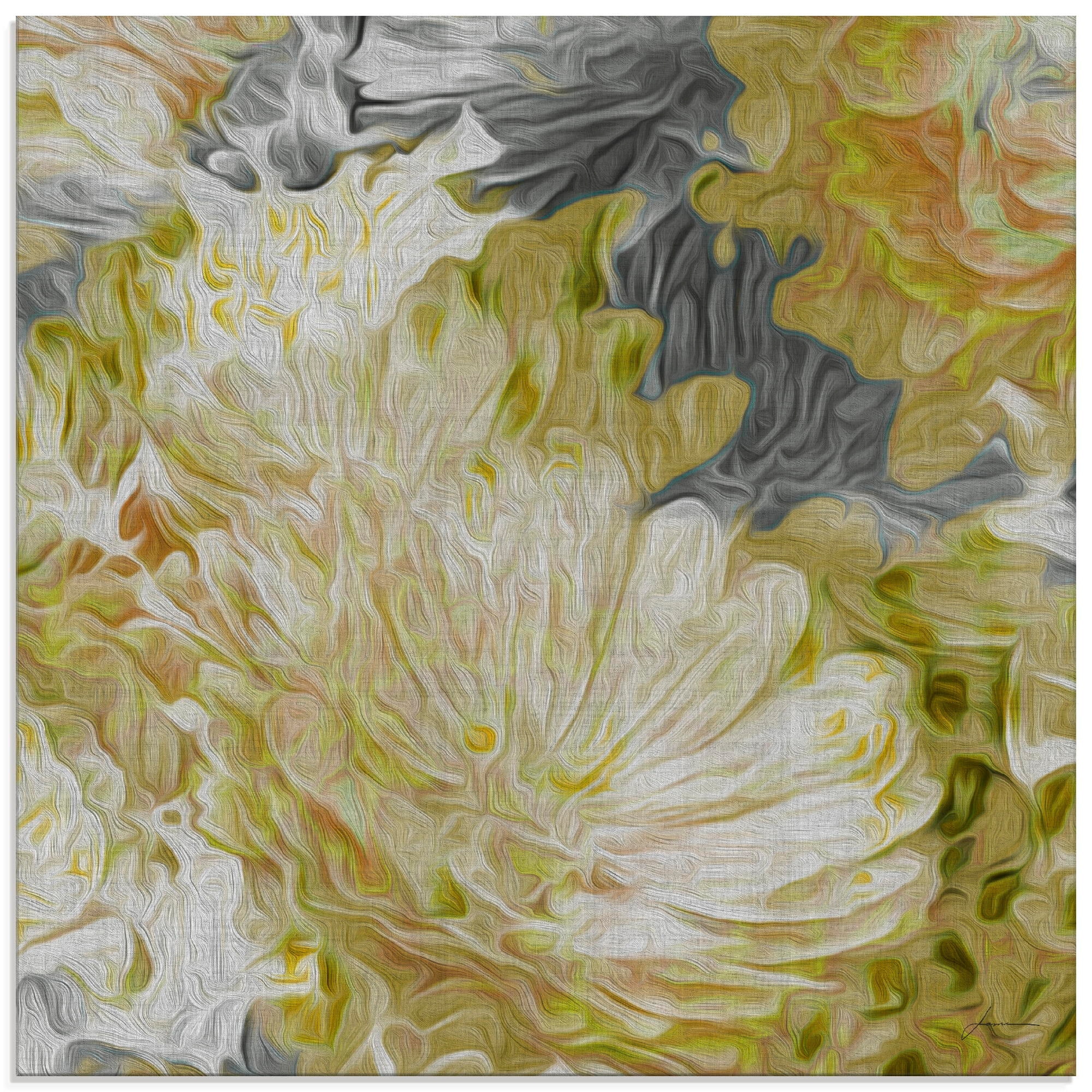 Artland Glasbild »Chrysanthemen in der Sonne II«, Blumen, (1 St.), in versc günstig online kaufen