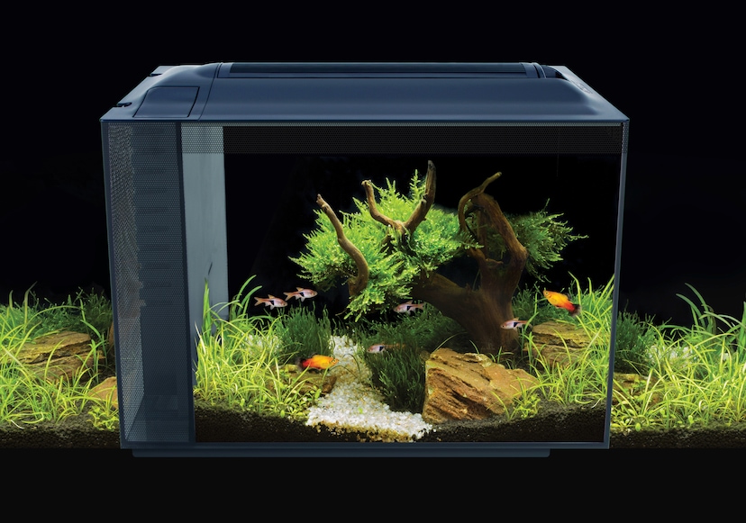 cm 75,5x38,4x12 LED«, »AquaArt Tetra online Explorer kaufen Aquariumunterschrank BxTxH: