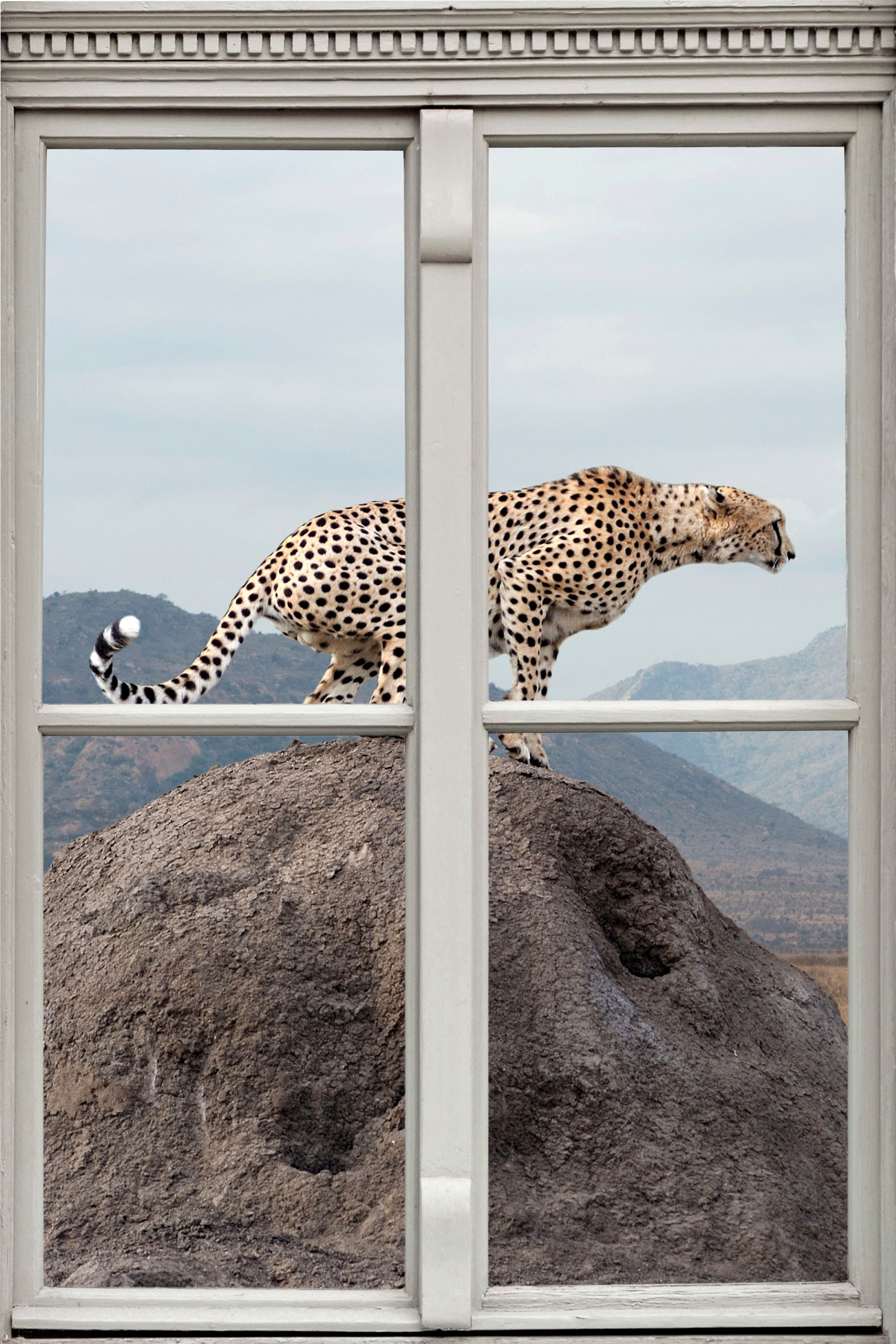 queence Wandsticker »Gepard«, Wandsticker, Wandbild, selbstklebend, 3D, Fenster