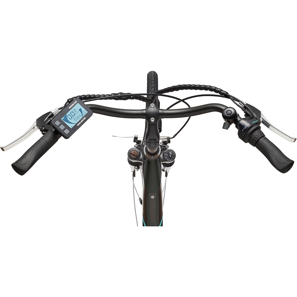 Telefunken E-Bike »Multitalent RC865«, 3 Gang, Shimano, Nexus, Mittelmotor 250 W, mit Fahrradkorb, ebike Damen