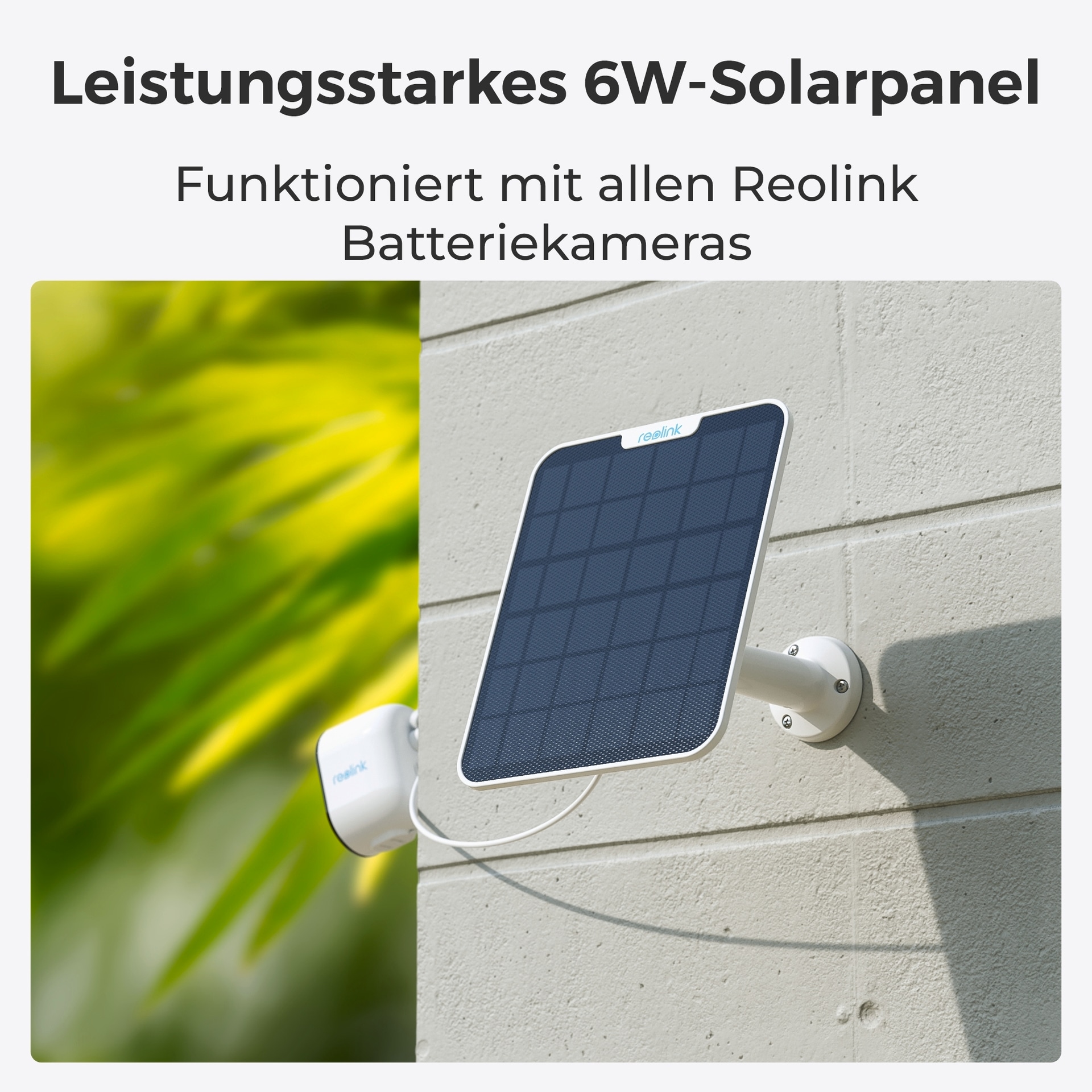 Reolink Überwachungskamera »Set 2x B440 Battery-WiFi + 2x Solarpanel«, Außenbereich