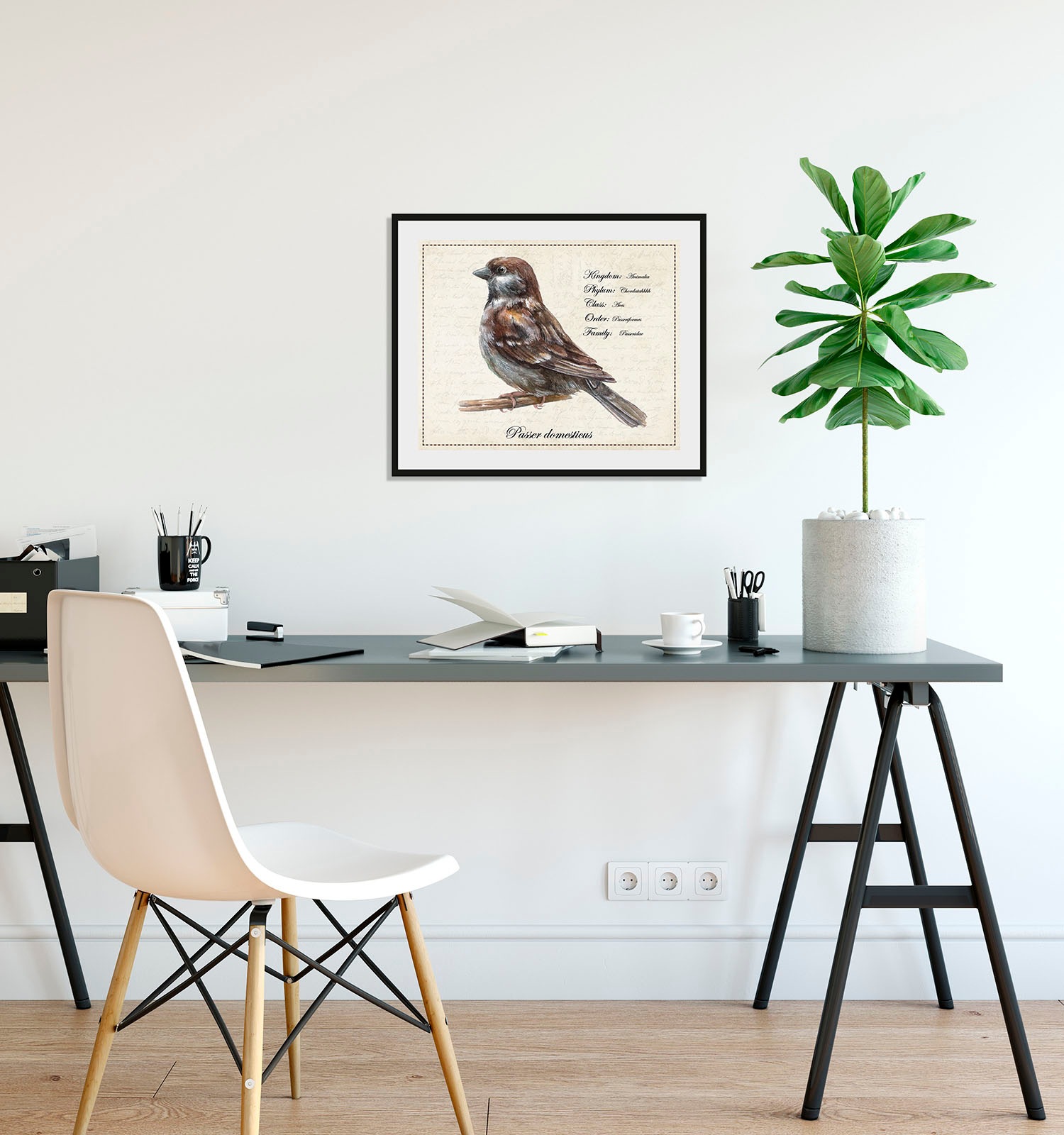 queence Bild »Passer domesticus«, Vögel-Vogelbilder-historische Ereignisse- günstig online kaufen
