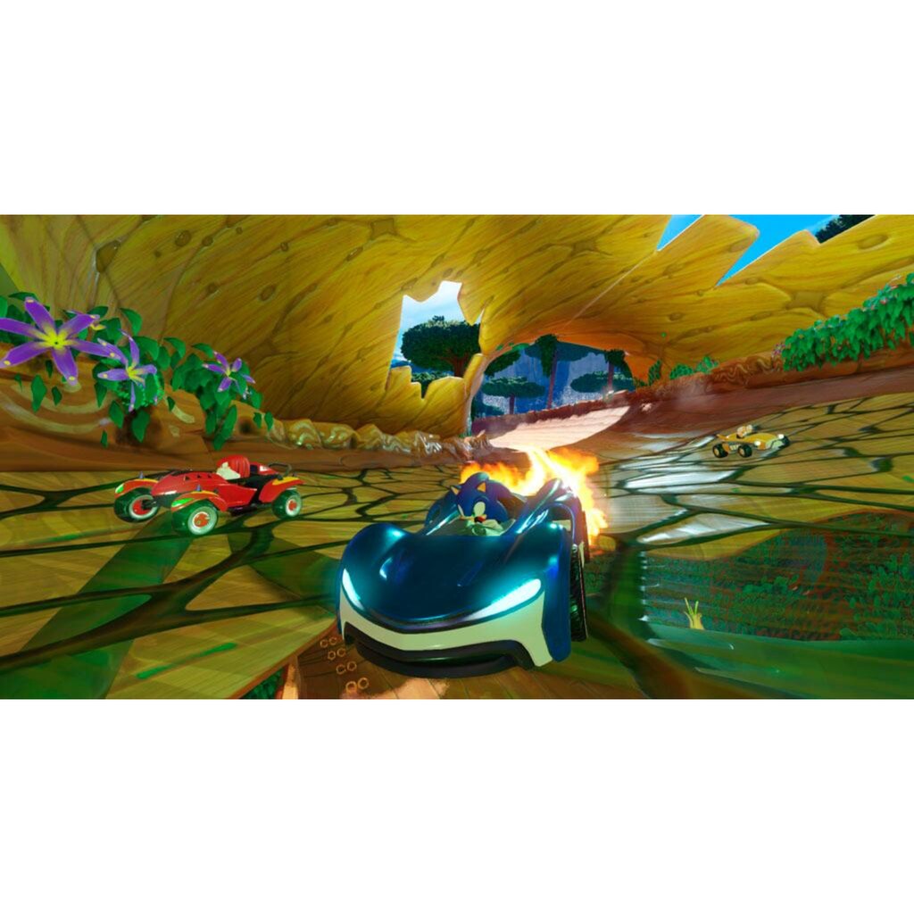 Sega Spielesoftware »Team Sonic Racing«, PlayStation 4