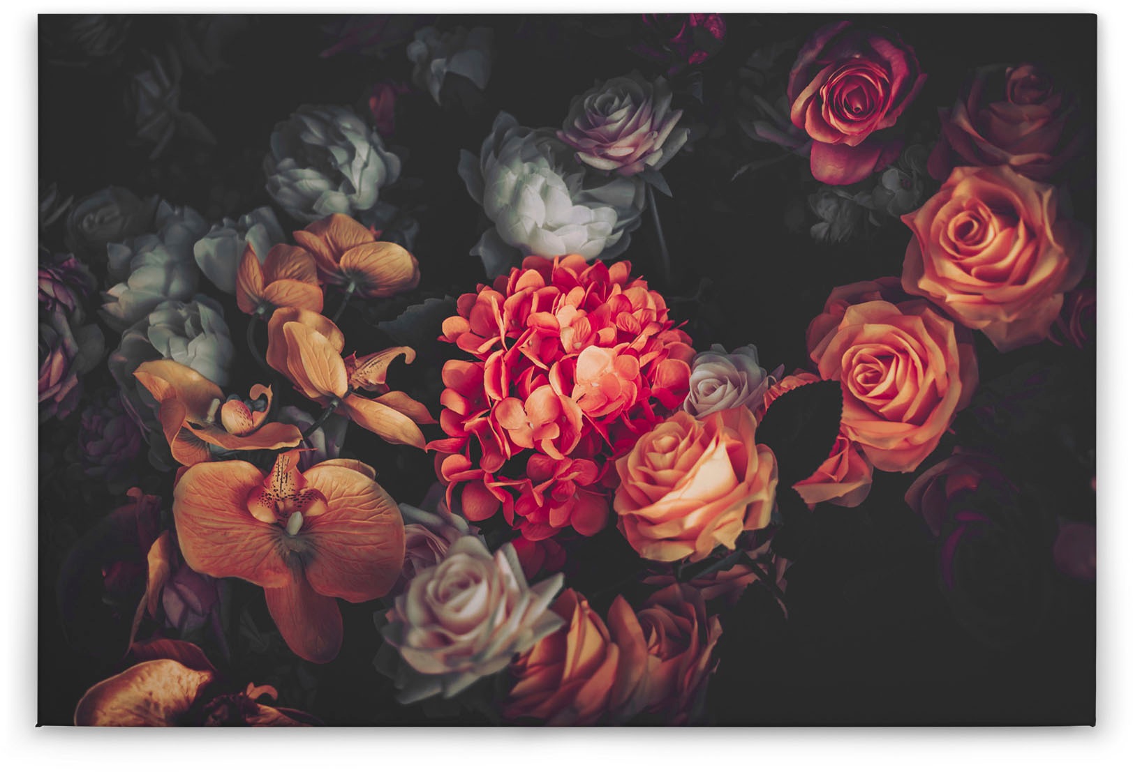Bricoflor Leinwandbild Rosen Blumen-Bild Schwarzer Hintergrund Wandbild Orc günstig online kaufen