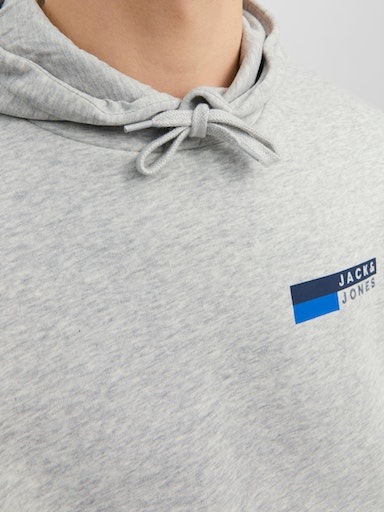 Jack & Jones Kapuzensweatshirt »JJECORP LOGO SWEAT HOOD PLAY NOOS«