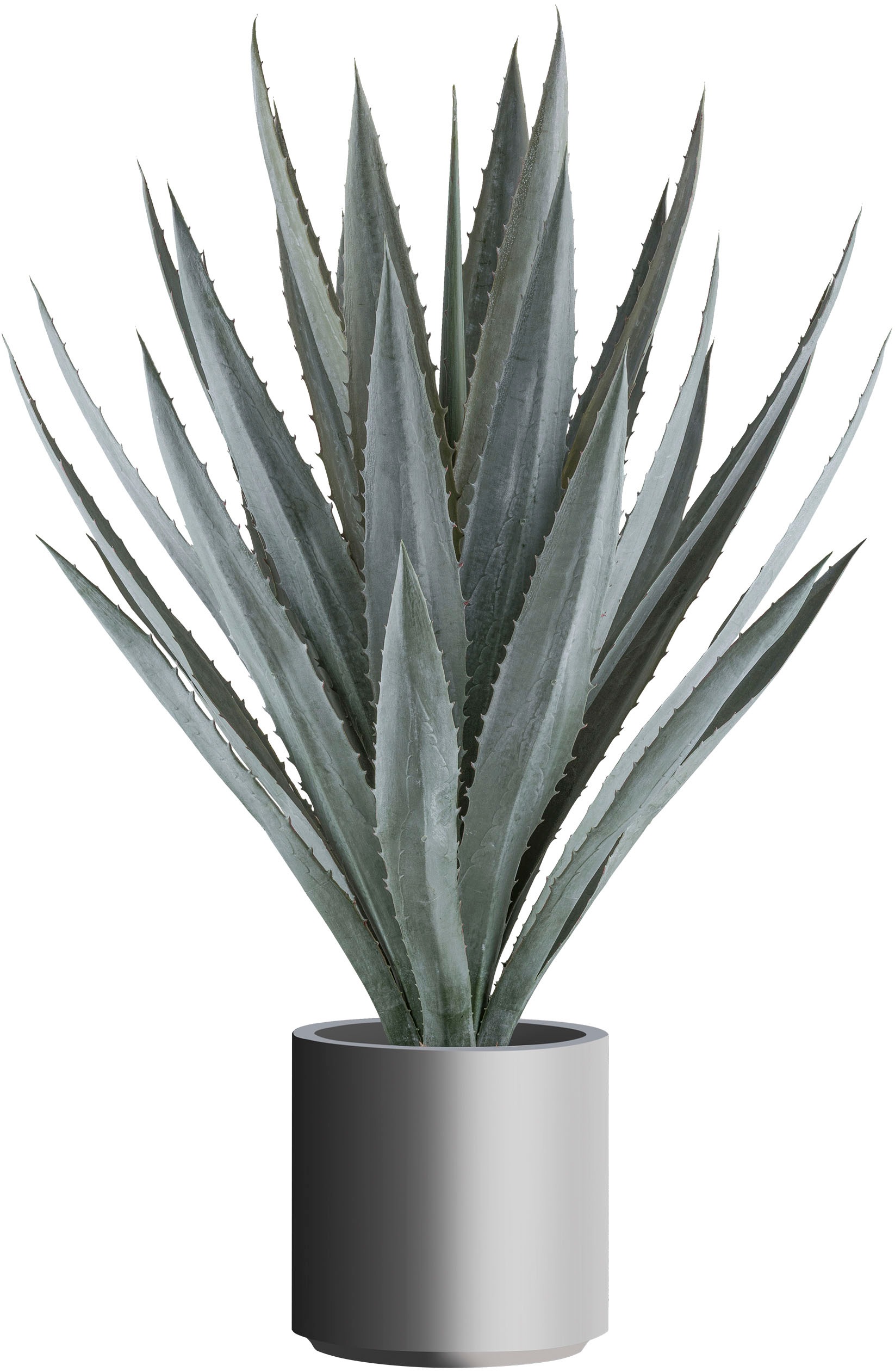 Creativ green Kunstpflanze »Agave« im eleganten grauen Topf günstig online kaufen