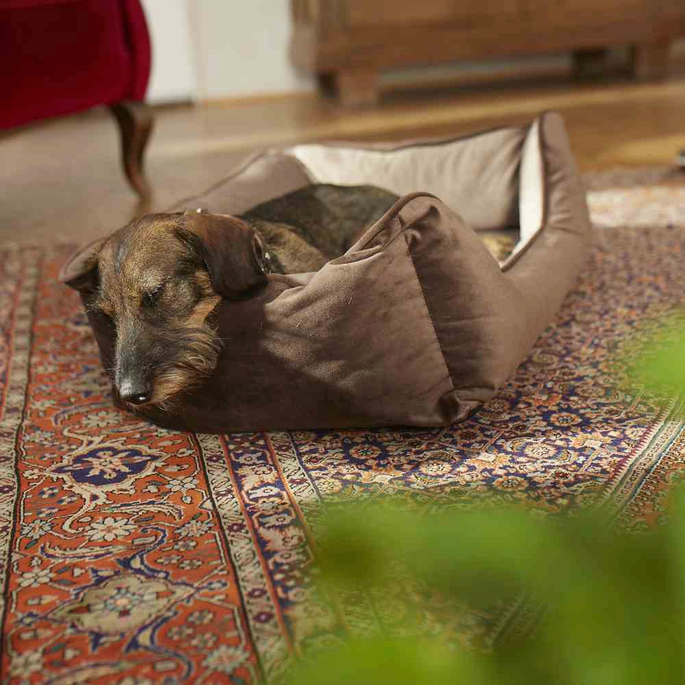8. Bild von Siena Home Tierkorb »Lupus«