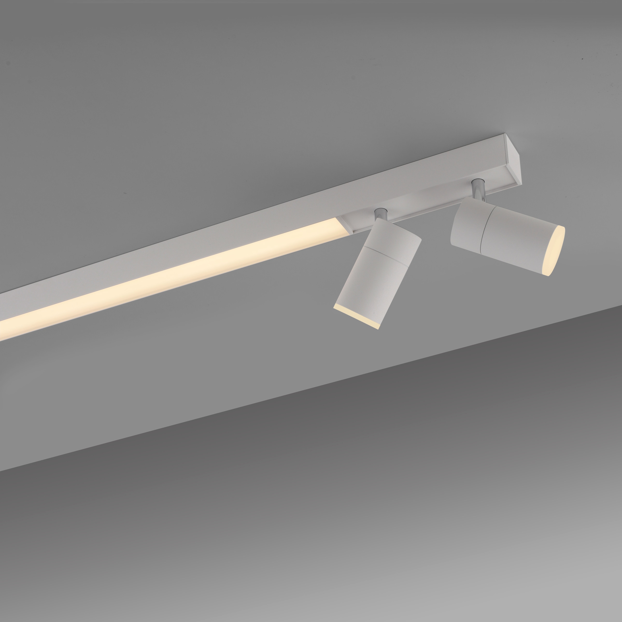 Neuhaus PURE LED Deckenleuchte »PURE Lines Spot« LED-Board 1 Stk. warmweiß - kaltweiß Spots dreh- &schwenkbar, CCT, dimmbar, Fernbedienung