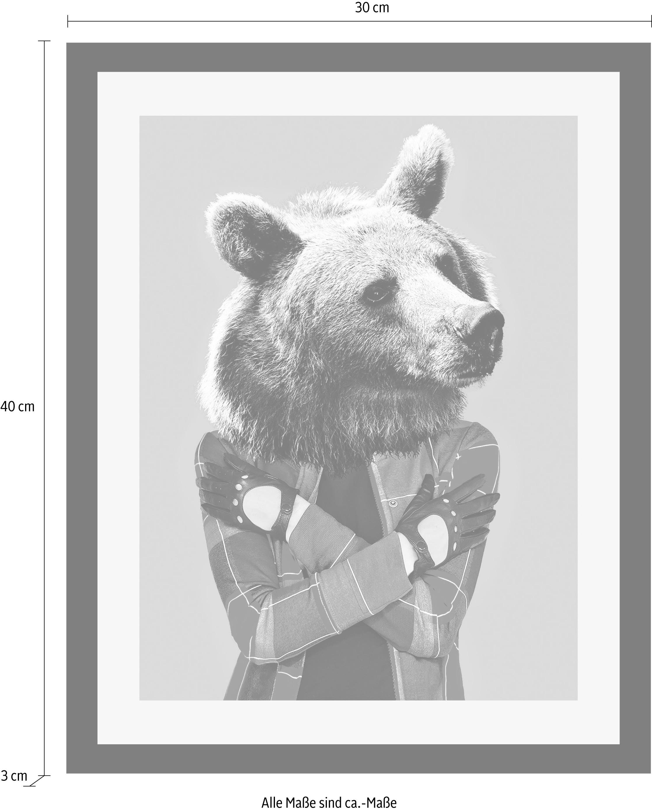 queence Bild »Bär«, Tiere-Foto-Bär-Kunst-Art-Humor, HD Premium Poster-Druck inkl. Holzrahmen
