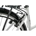 KS Cycling Trekkingrad »Canterburry«, 21 Gang, Shimano, Tourney Schaltwerk, Kettenschaltung