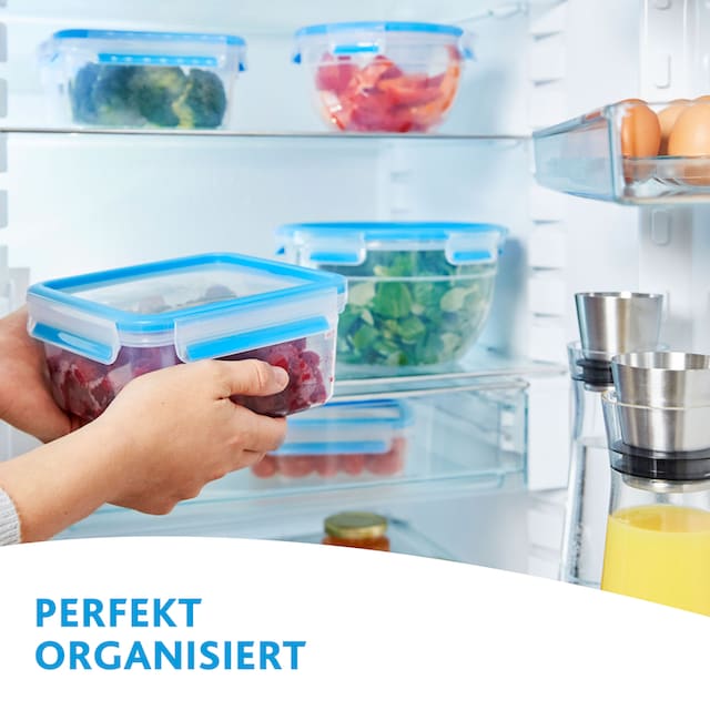 Emsa Frischhaltedose »Emsa Clip & Close«, (Set, 10 tlg., 5 Vorratsdosen mit  jeweils einem Deckel), MEALPREP-SET Frischhaltedose, Vorrasdose 5-tTeiliges  Set, 0,8 L, 100% Dicht, 100% Hygienisch: Frische Dichtung, Kunststoff auf  Rechnung bestellen