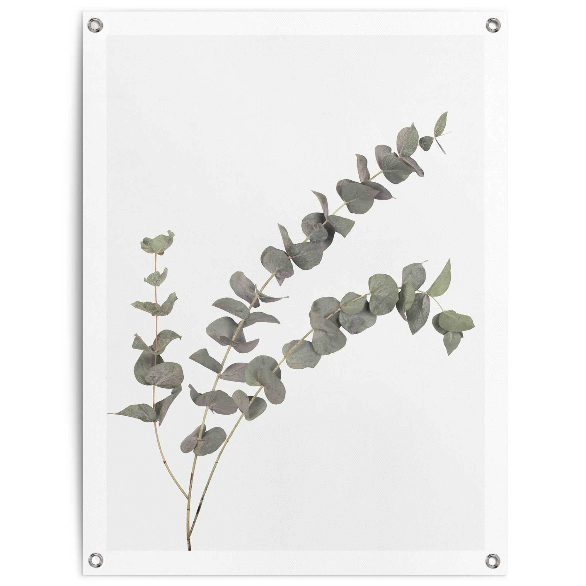 Reinders! »Eukalyptus«, bestellen für oder Outdoor Balkon online Garten Poster