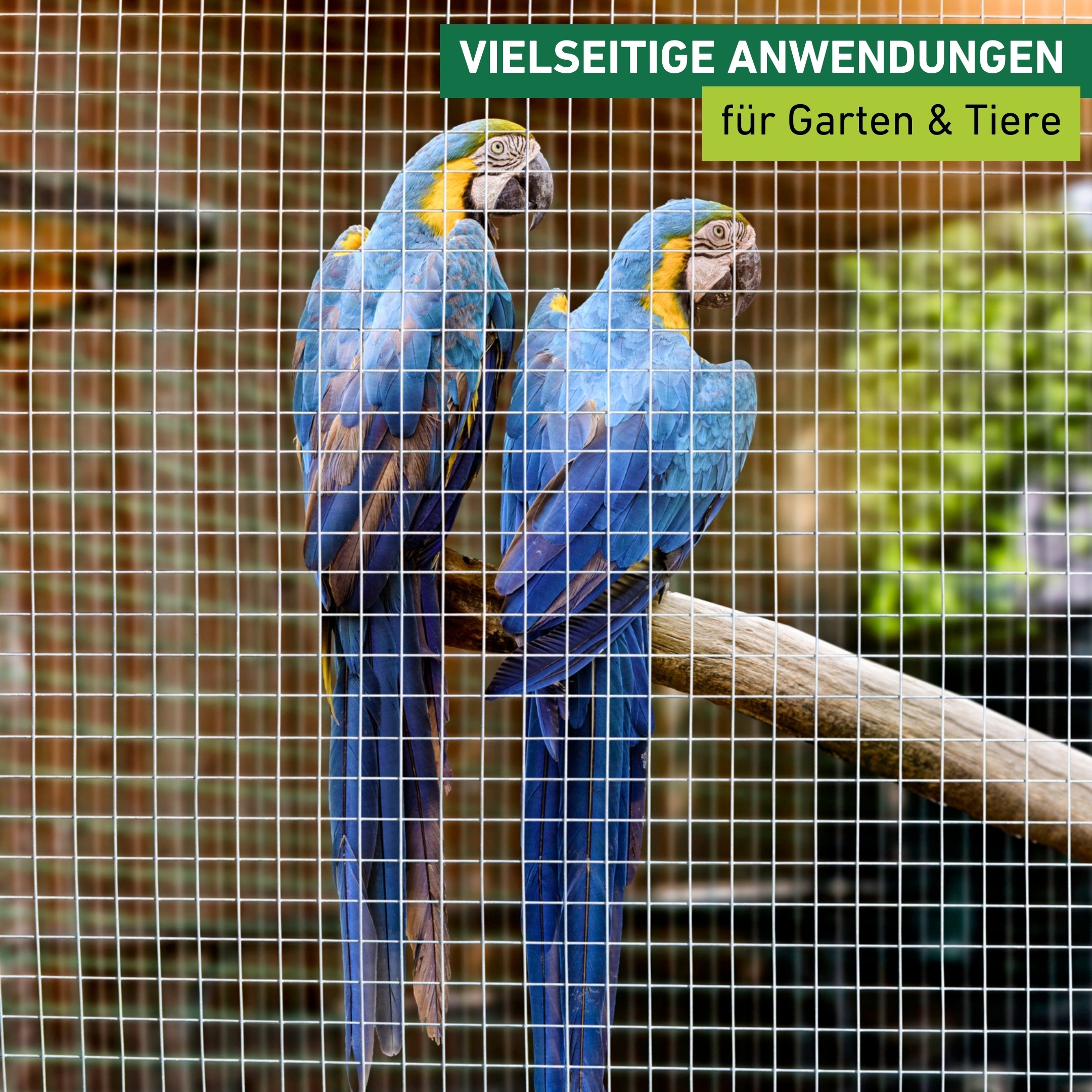 Windhager Voliere »für Tiere und Garten, Drahgitter verzinkt für den Außenbereich« Stahlgitter erhältlich in unterschiedlichen Größen