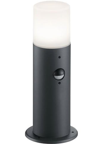 TRIO Leuchten Sockelleuchte »HOOSIC«, E27, inkl. Bewegungsmelder kaufen
