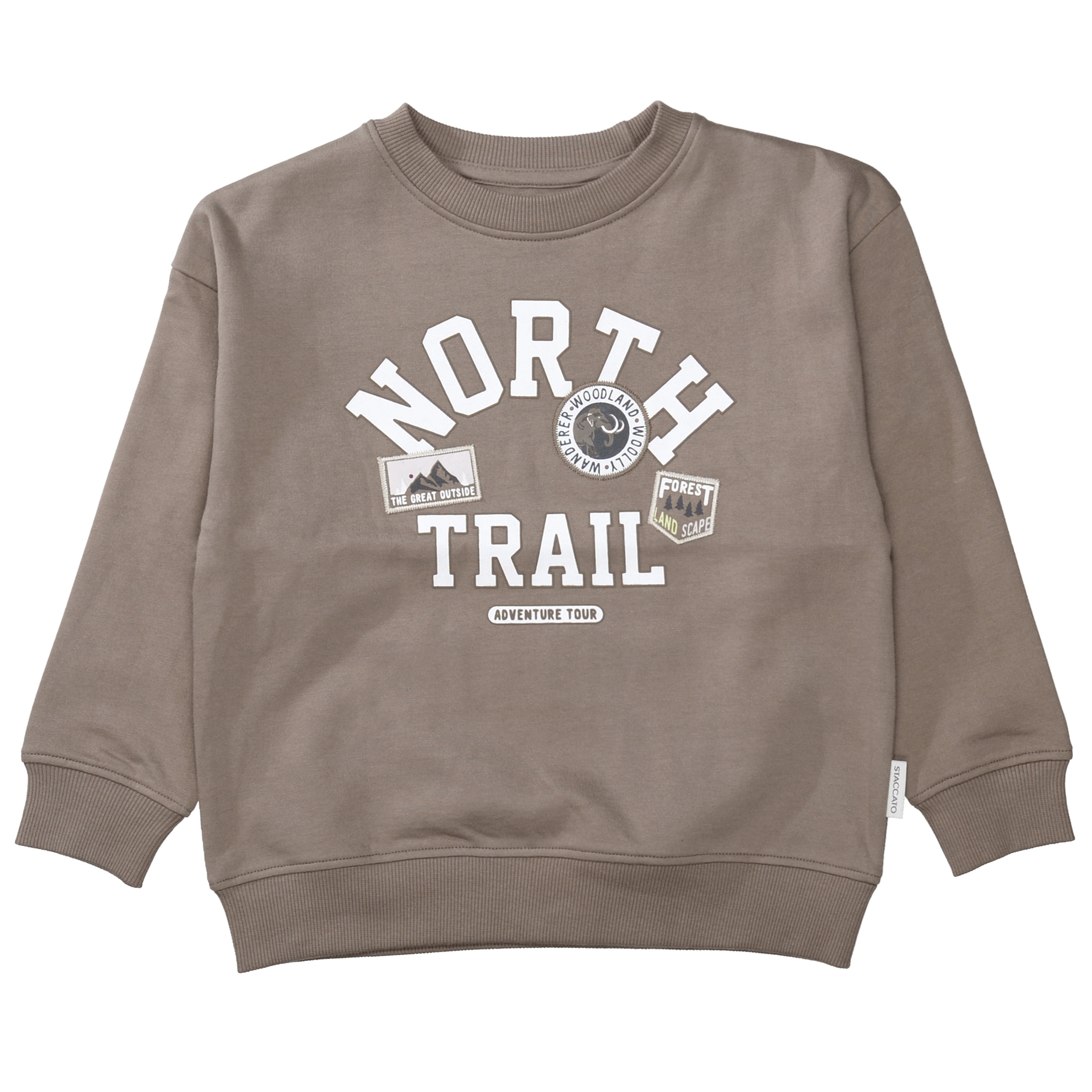 STACCATO Sweater , 2er Pack Sweater / bedruckt / für Boys
