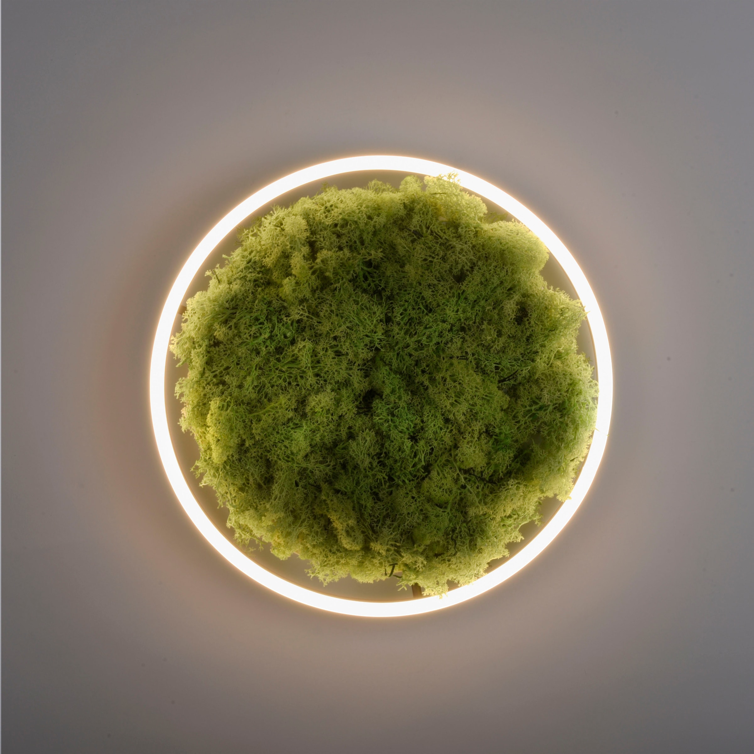 JUST LIGHT Deckenleuchte »GREEN RITU«, 1 flammig, Leuchtmittel LED-Board | LED fest integriert