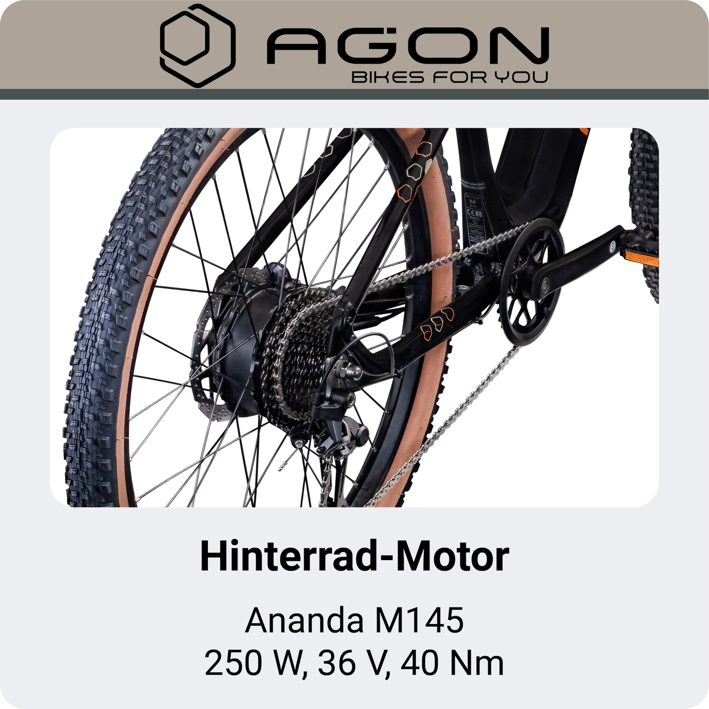 AGON »Alpha« 10 Gang Shimano Deore SGS T6000 Schaltwerk Kettenschaltung Heckmotor 250 W E Bike Mountainbike Herren oder Damen 160 - 185 cm