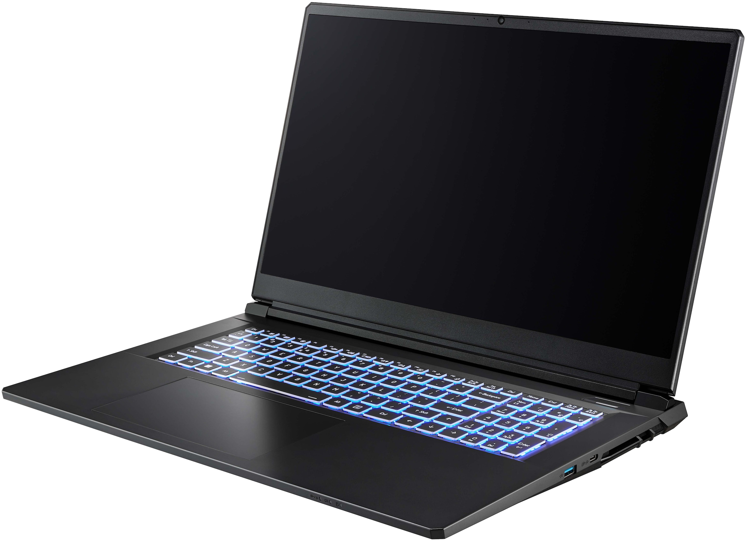 CAPTIVA Gaming-Notebook »Entry Gaming I10-1089GE« 43,9 cm / 17,3 ″ Intel Core i7 GeForce RTX 5060 500 GB SSD