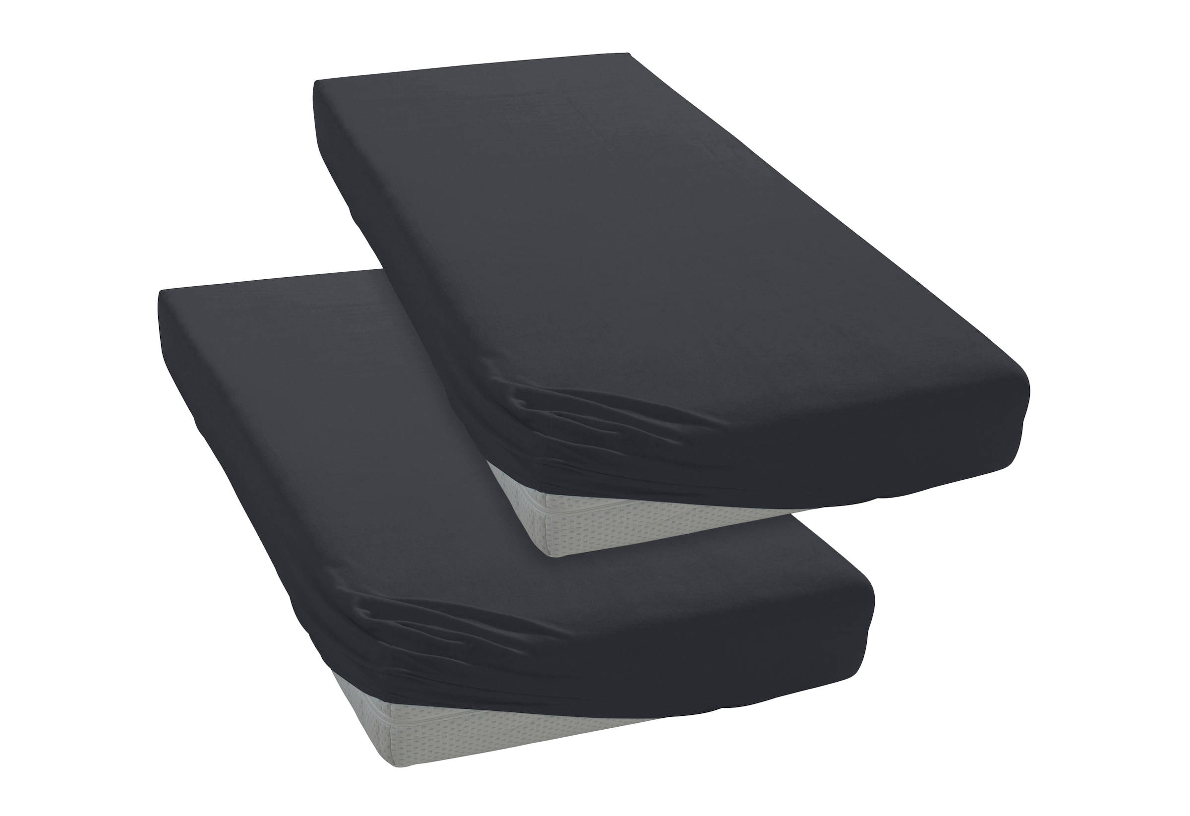 my home Spannbettlaken "PHYSALIS" Baumwolle, Matratzen bis 18 cm Höhe, Bett günstig online kaufen