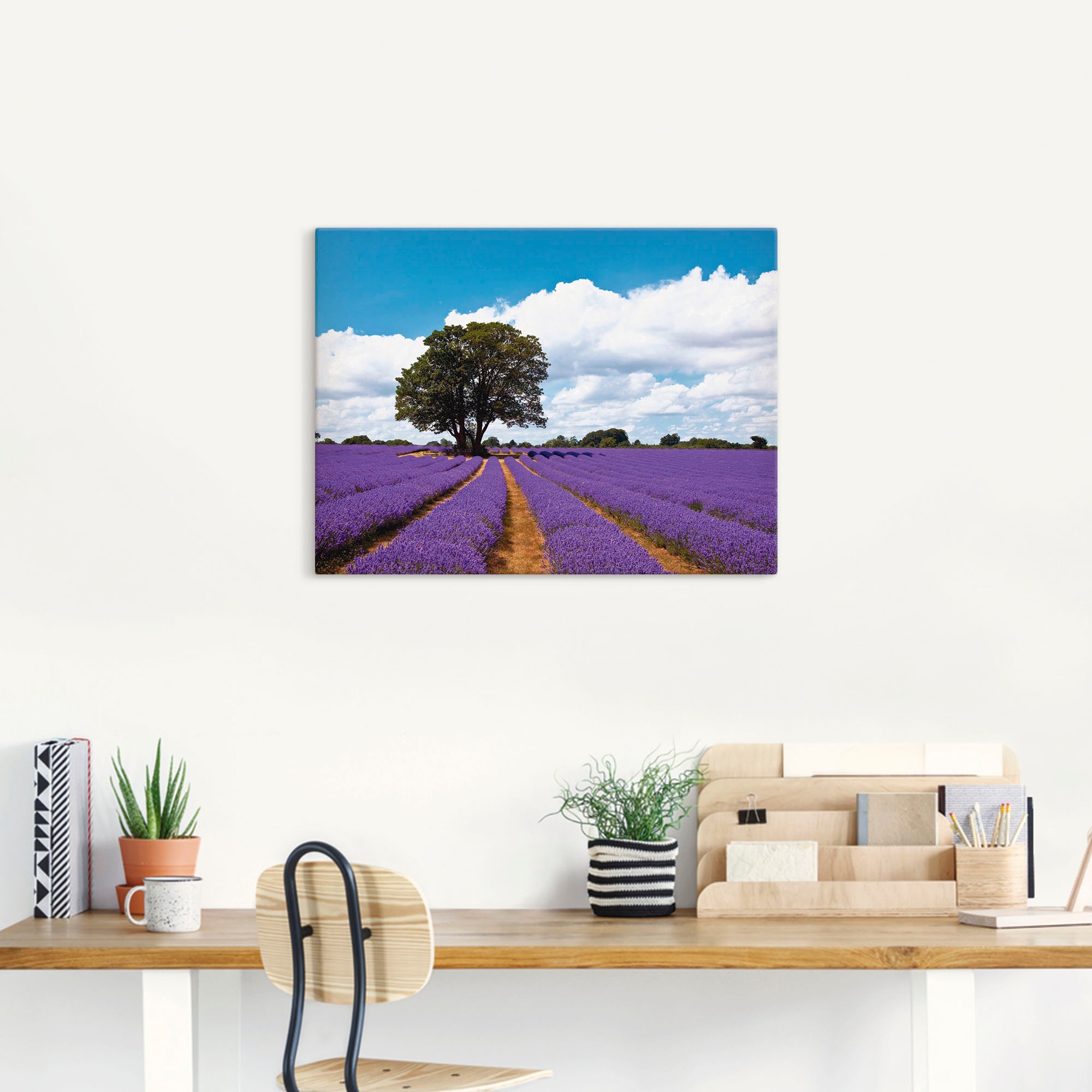 Artland Wandbild »Schönes Lavendelfeld im Sommer«, Felder, (1 St.), als Alubild, Outdoorbild, Leinwandbild in verschied. Größen