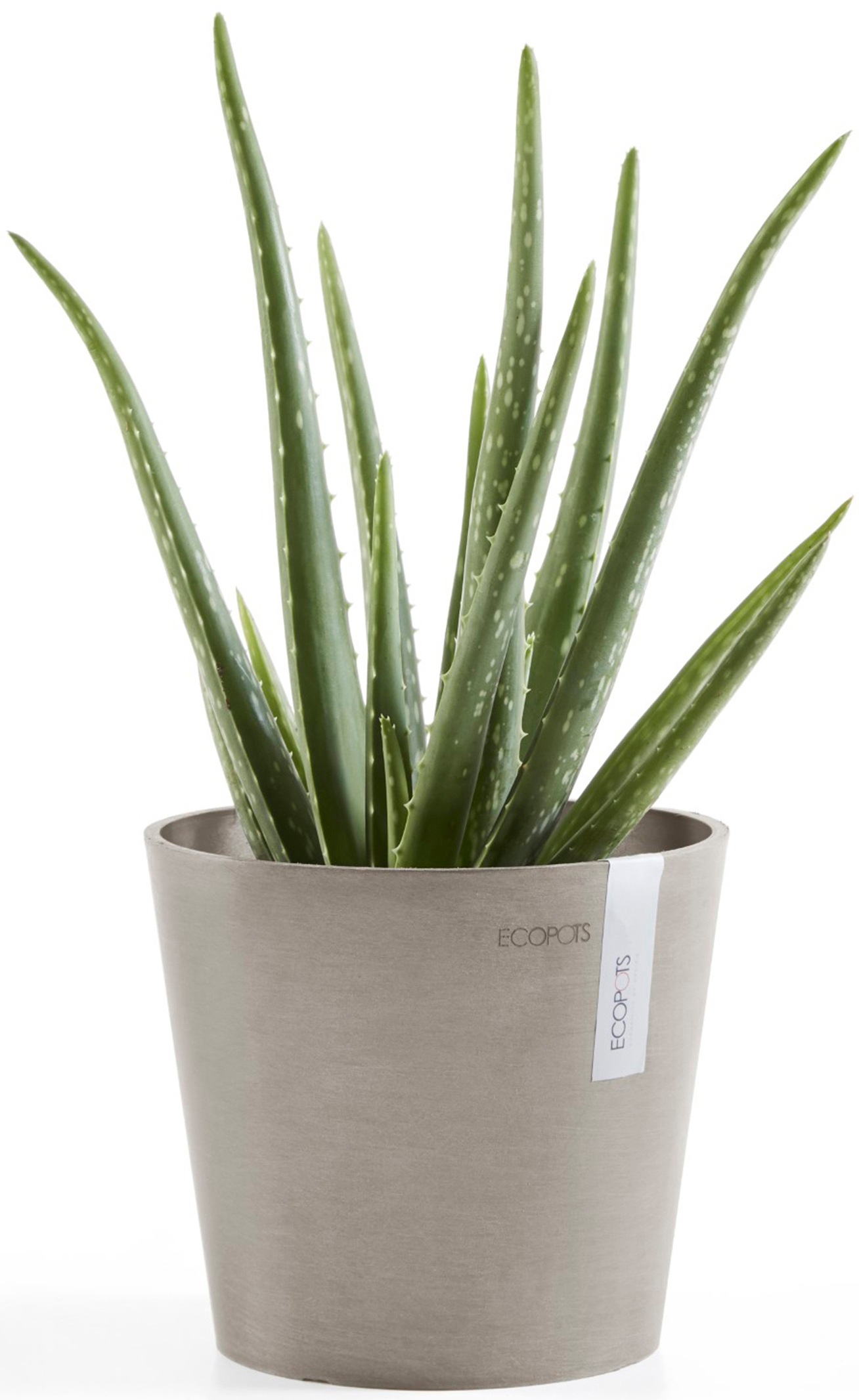 ECOPOTS Blumentopf »Amsterdam Mini 17 Taupe«, für den Innenbereich