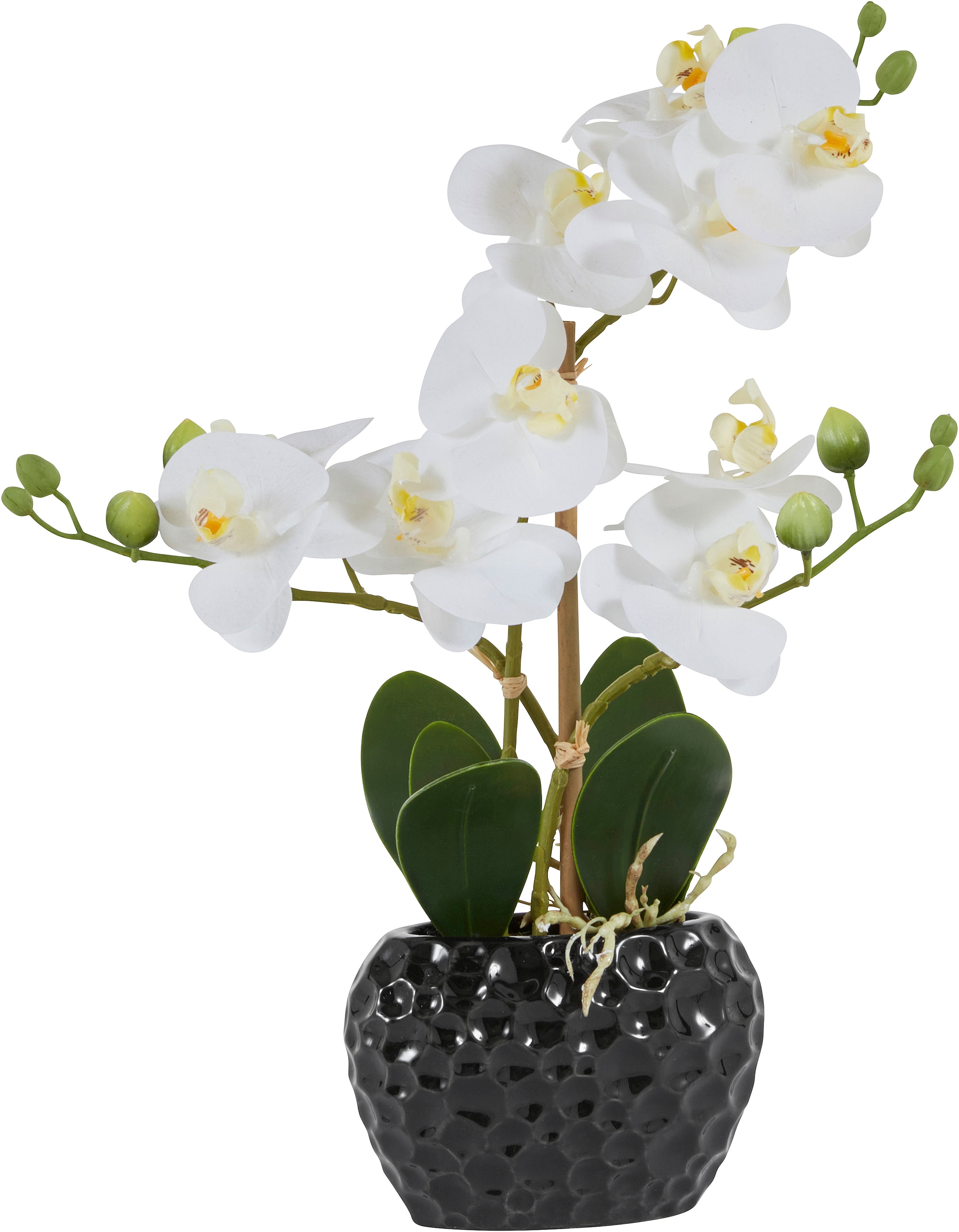 Kunstorchidee, Leonique Kunstpflanze im Topf bestellen »Orchidee«, Rechnung auf