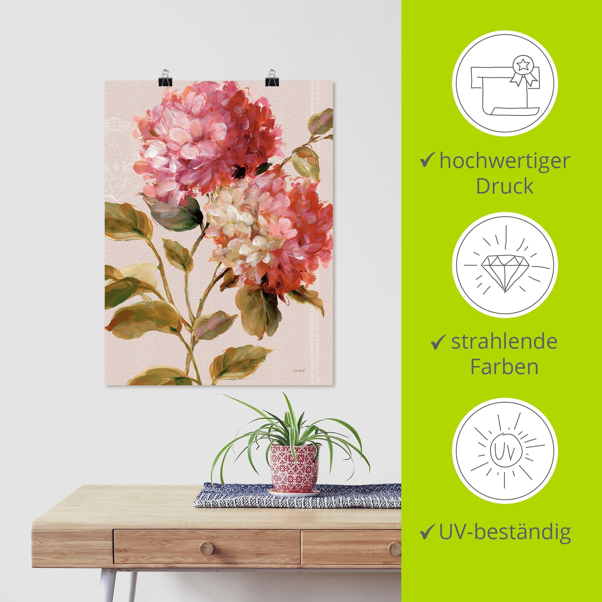 Artland Wandbild »Harmonische Hortensien«, Blumen, (1 St.), als Leinwandbild, Poster in verschied. Größen